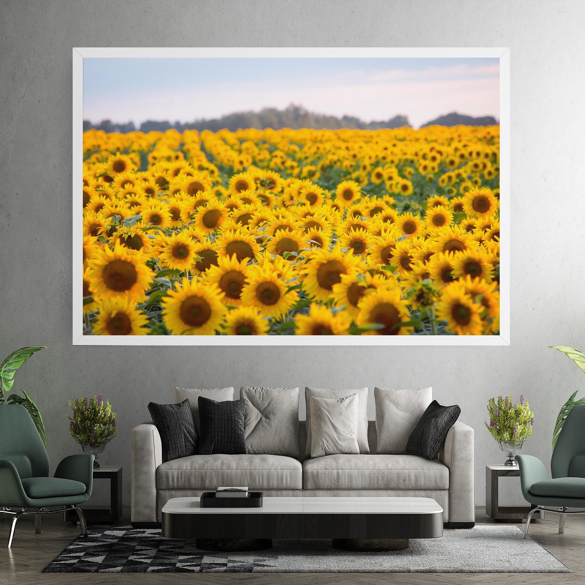 Leinwandbild Blooming Sunflowers mockup 7