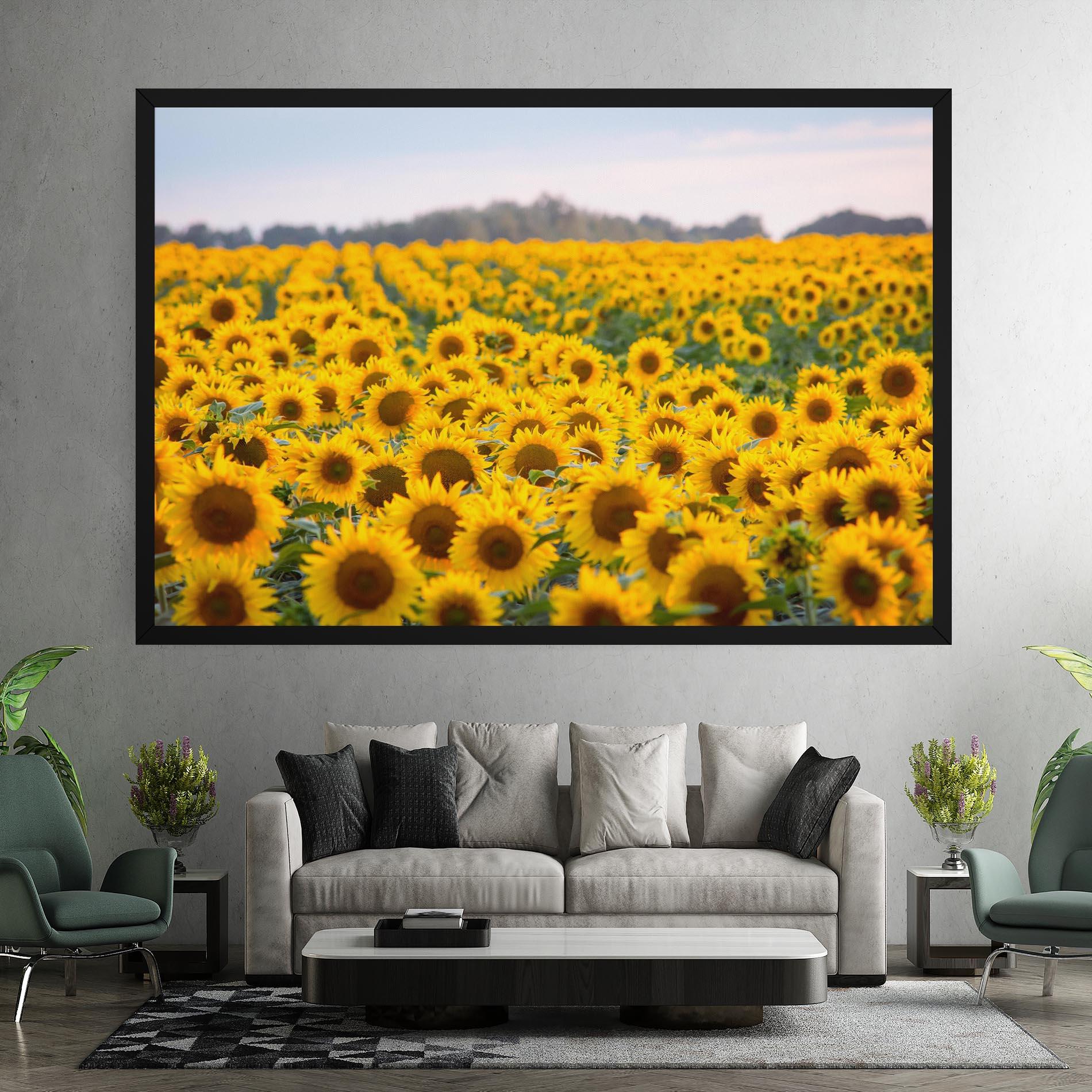 Leinwandbild Blooming Sunflowers mockup 7