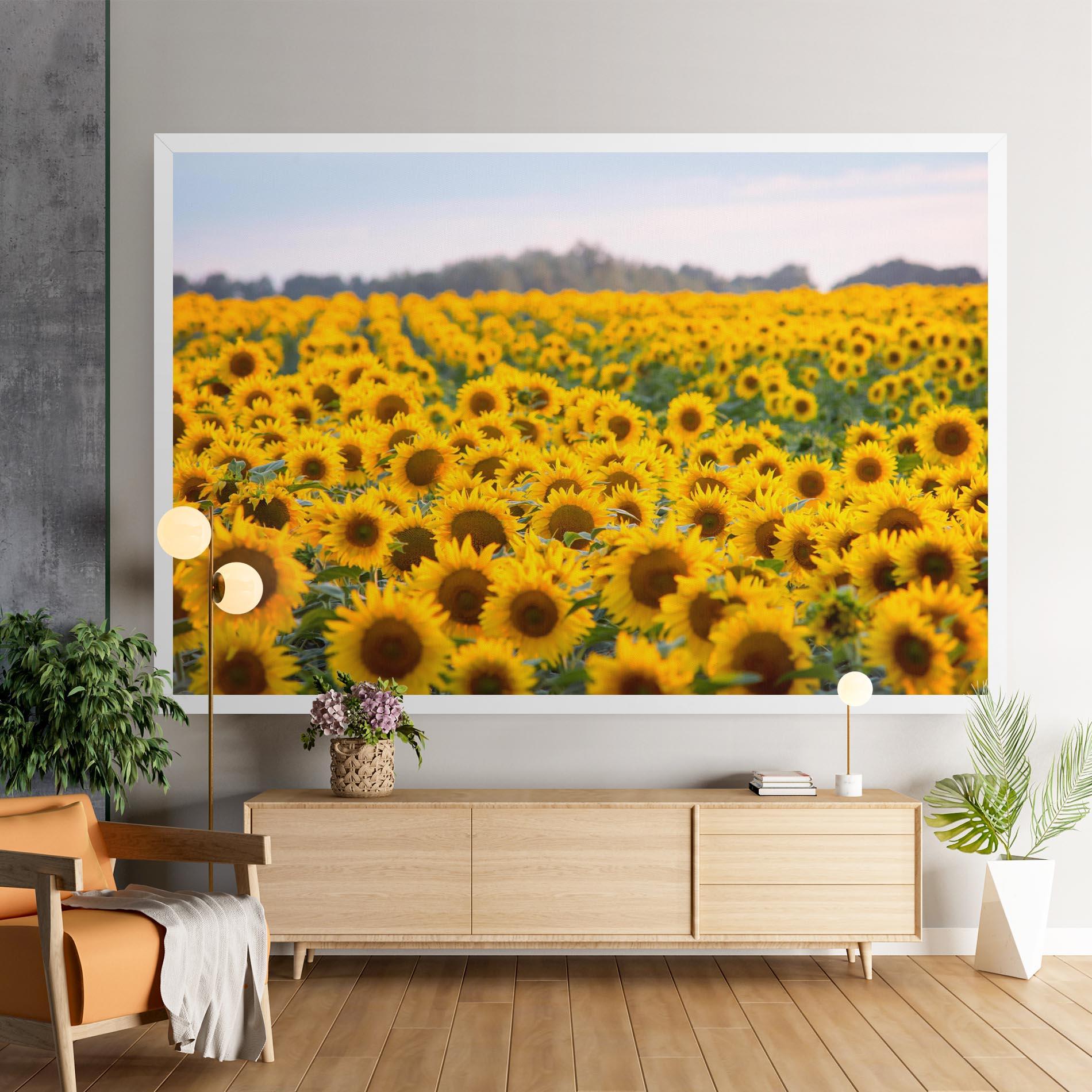 Leinwandbild Blooming Sunflowers mockup 9