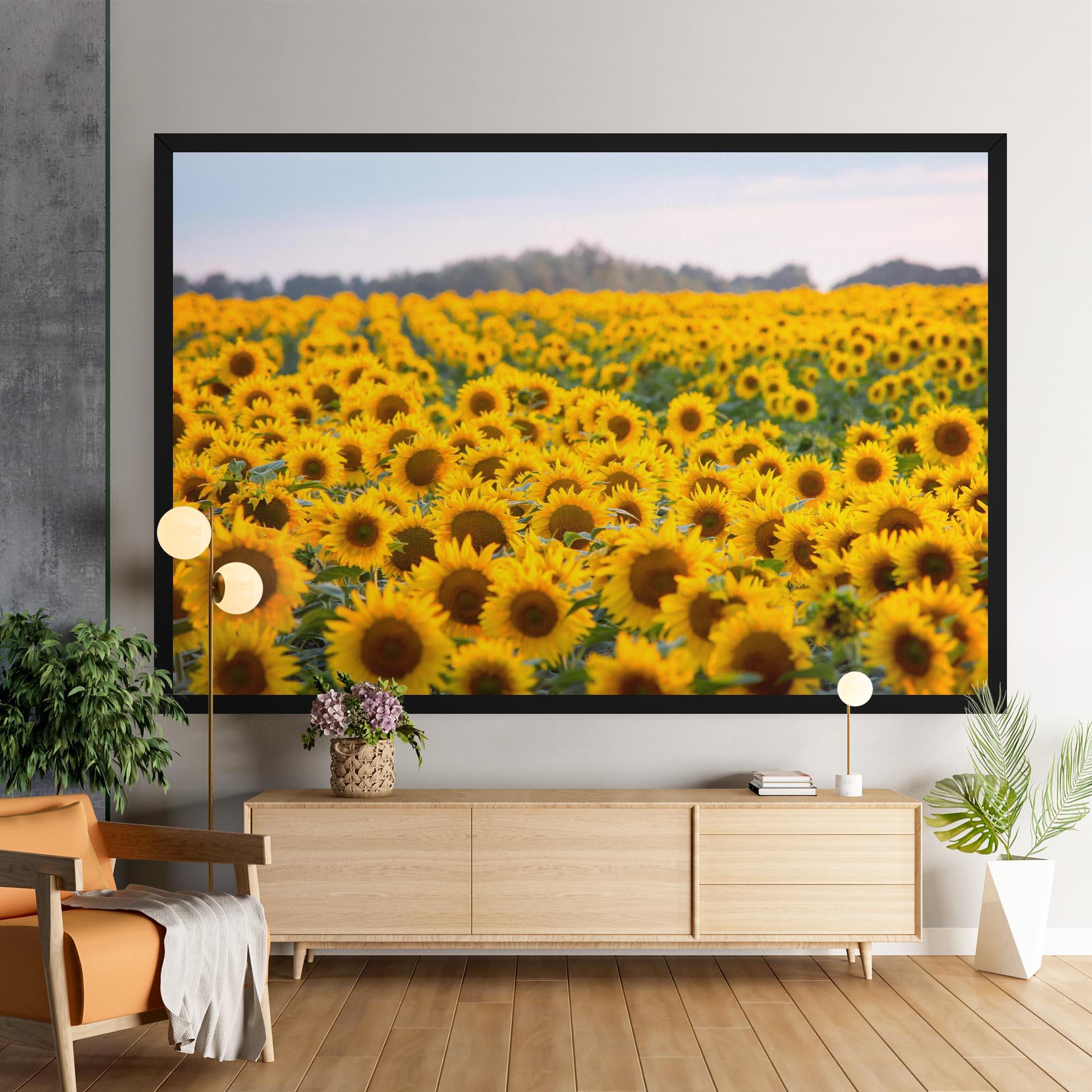Leinwandbild Blooming Sunflowers mockup 9