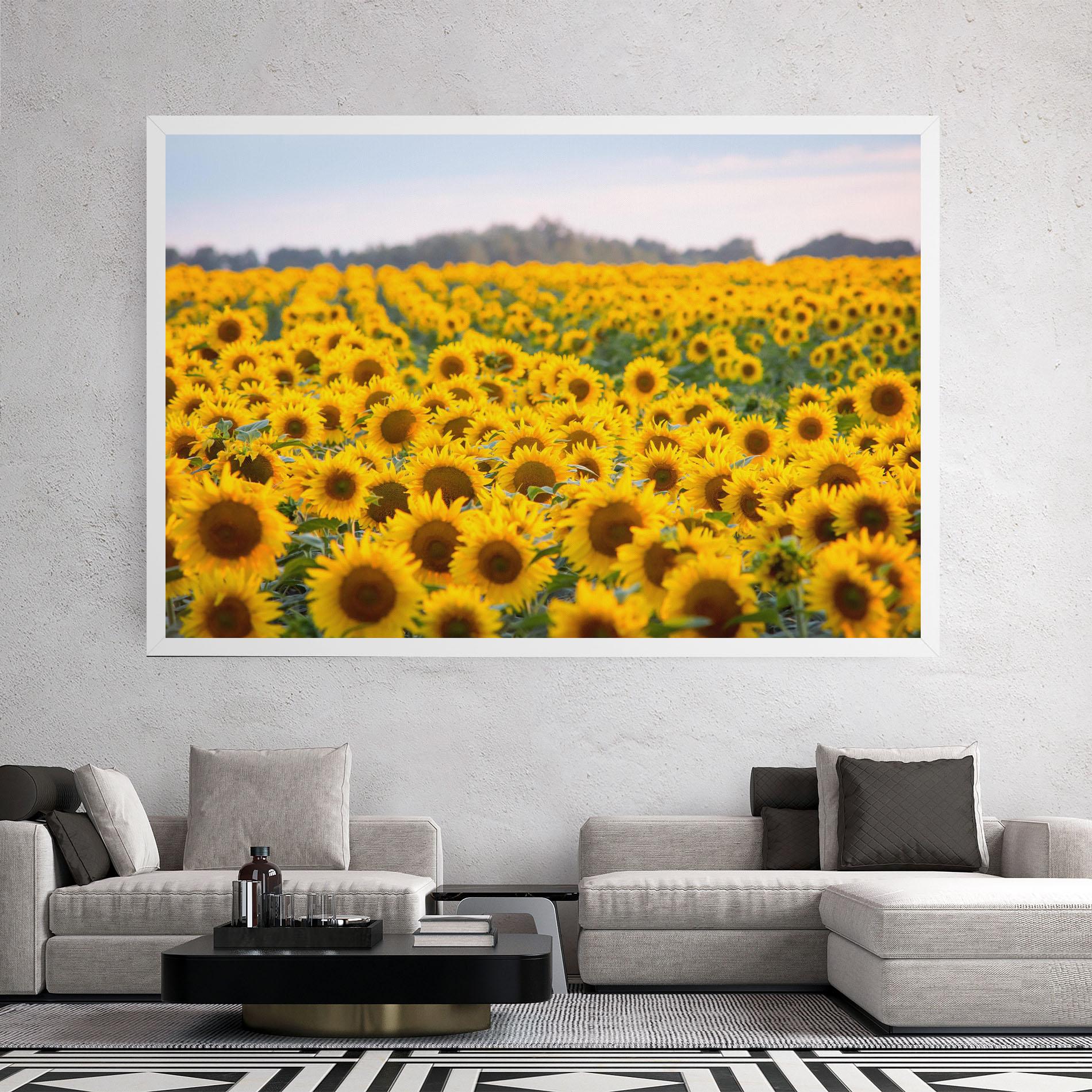 Leinwandbild Blooming Sunflowers mockup 2