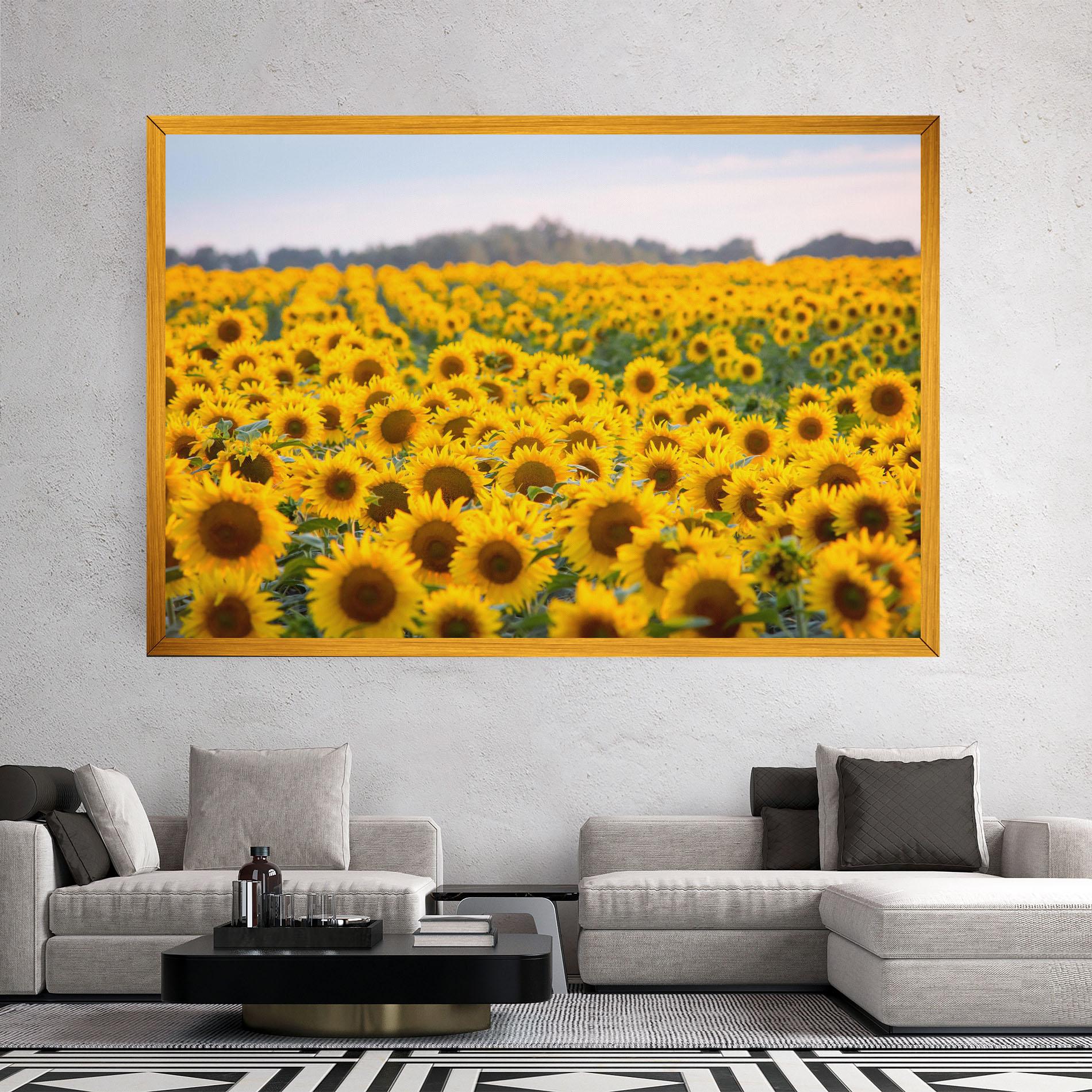 Leinwandbild Blooming Sunflowers mockup 2