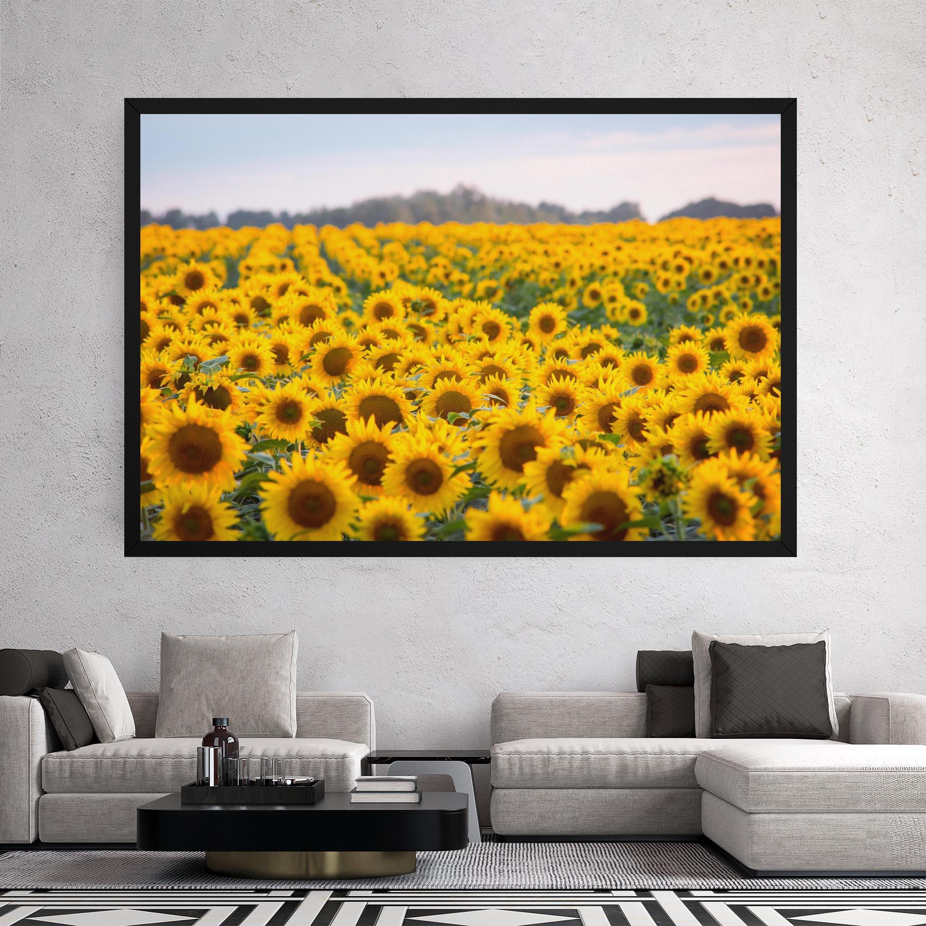 Leinwandbild Blooming Sunflowers mockup 2