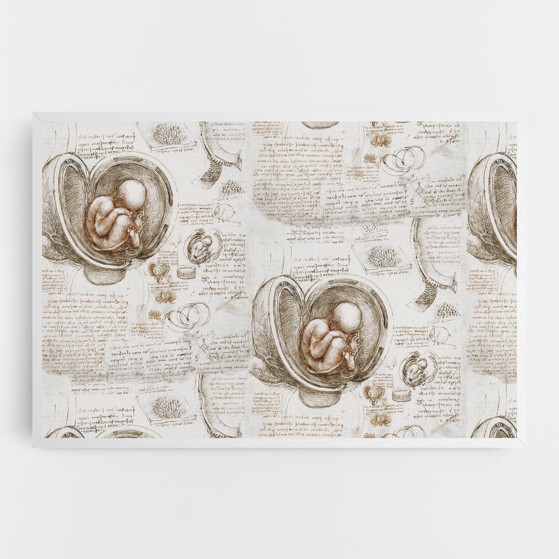 Leonardo Studies Of The Foetus mockup 0