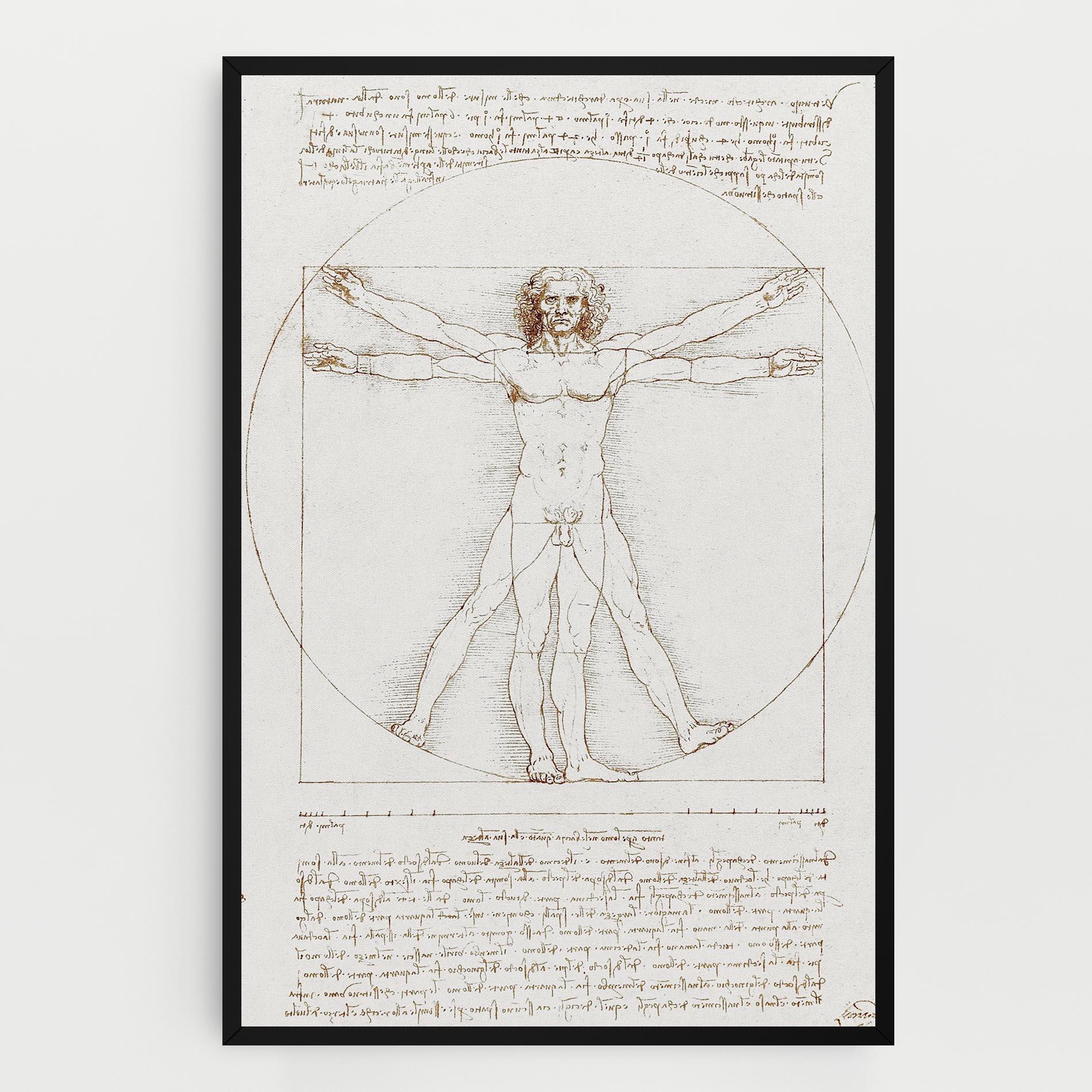 Leinwandbild Leonardo Da Vinci's Vitruvian Man mockup 0