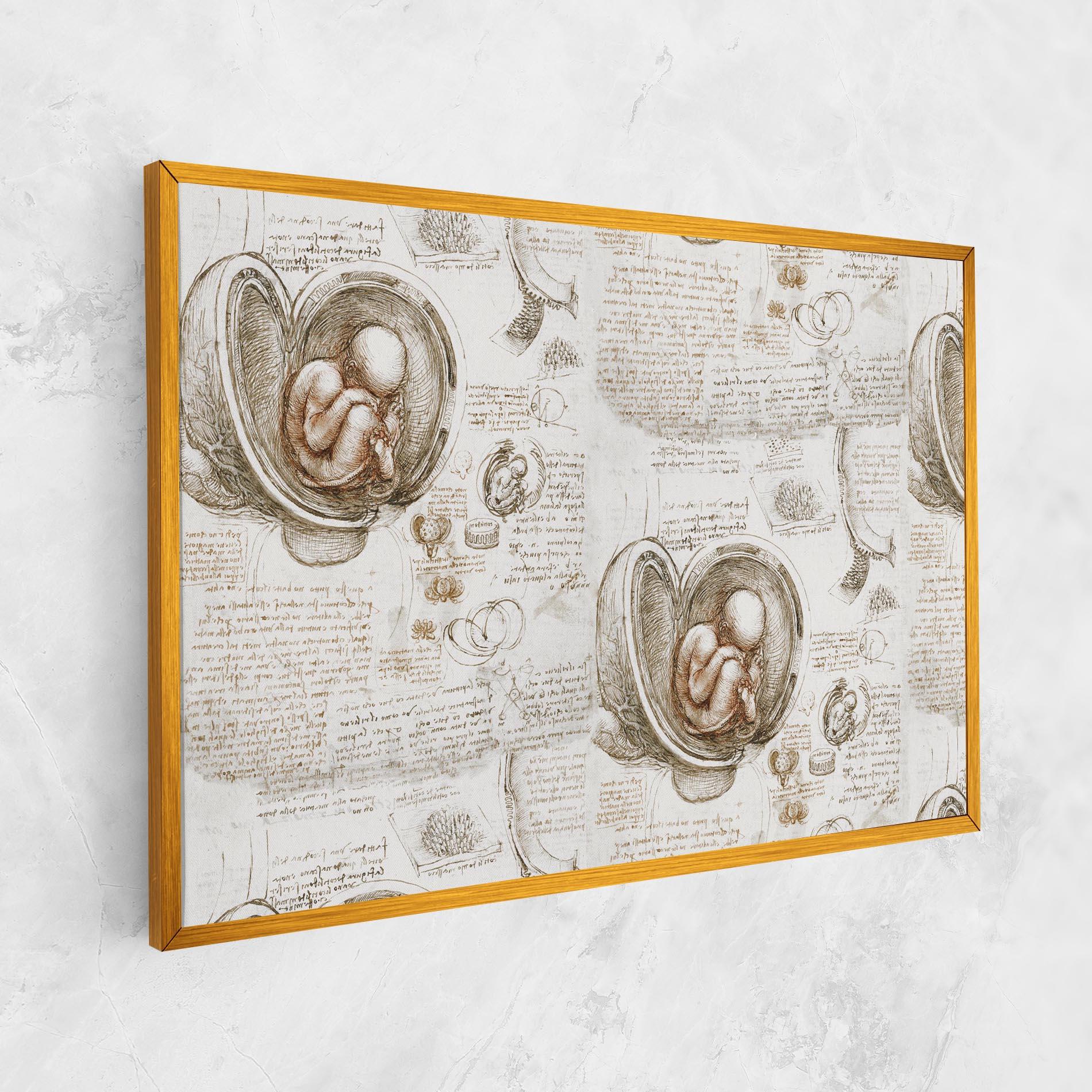 Leinwandbild Leonardo Studies Of The Foetus mockup 1