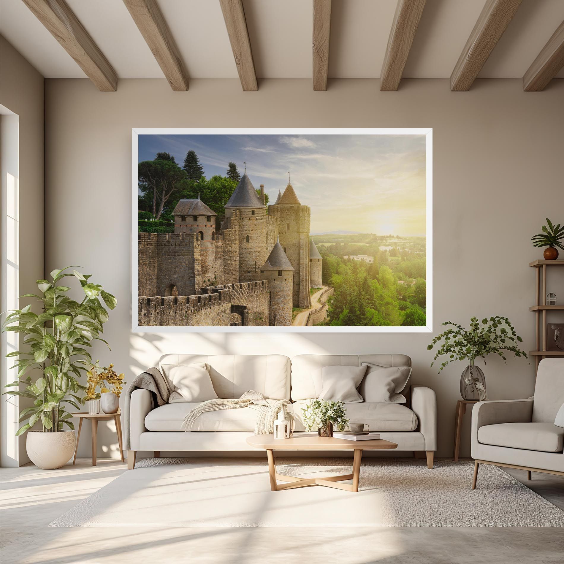 Carcassonne France mockup 6