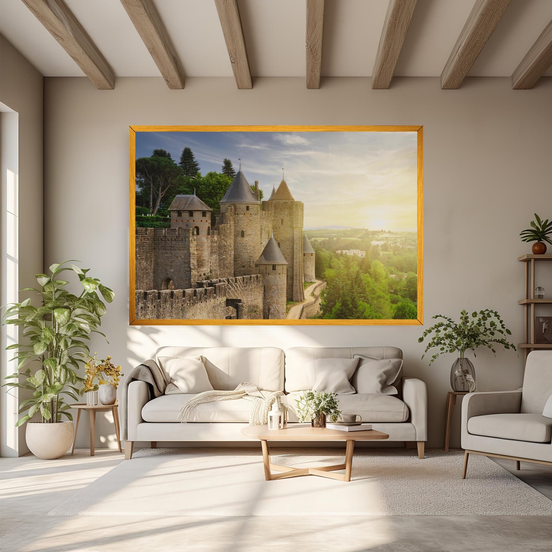 Carcassonne France mockup 6