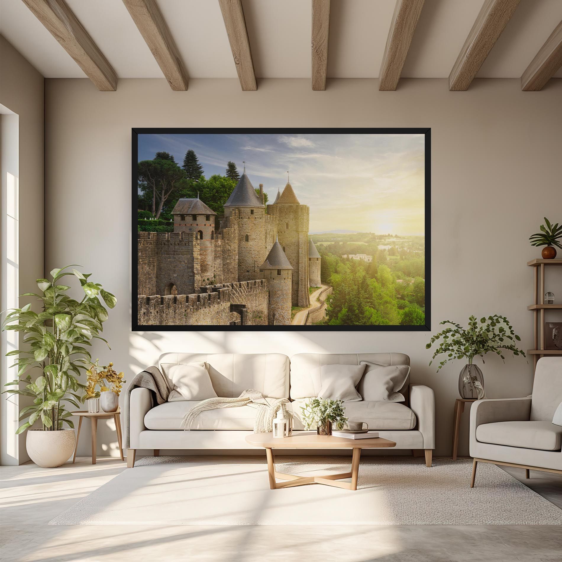 Carcassonne France mockup 6