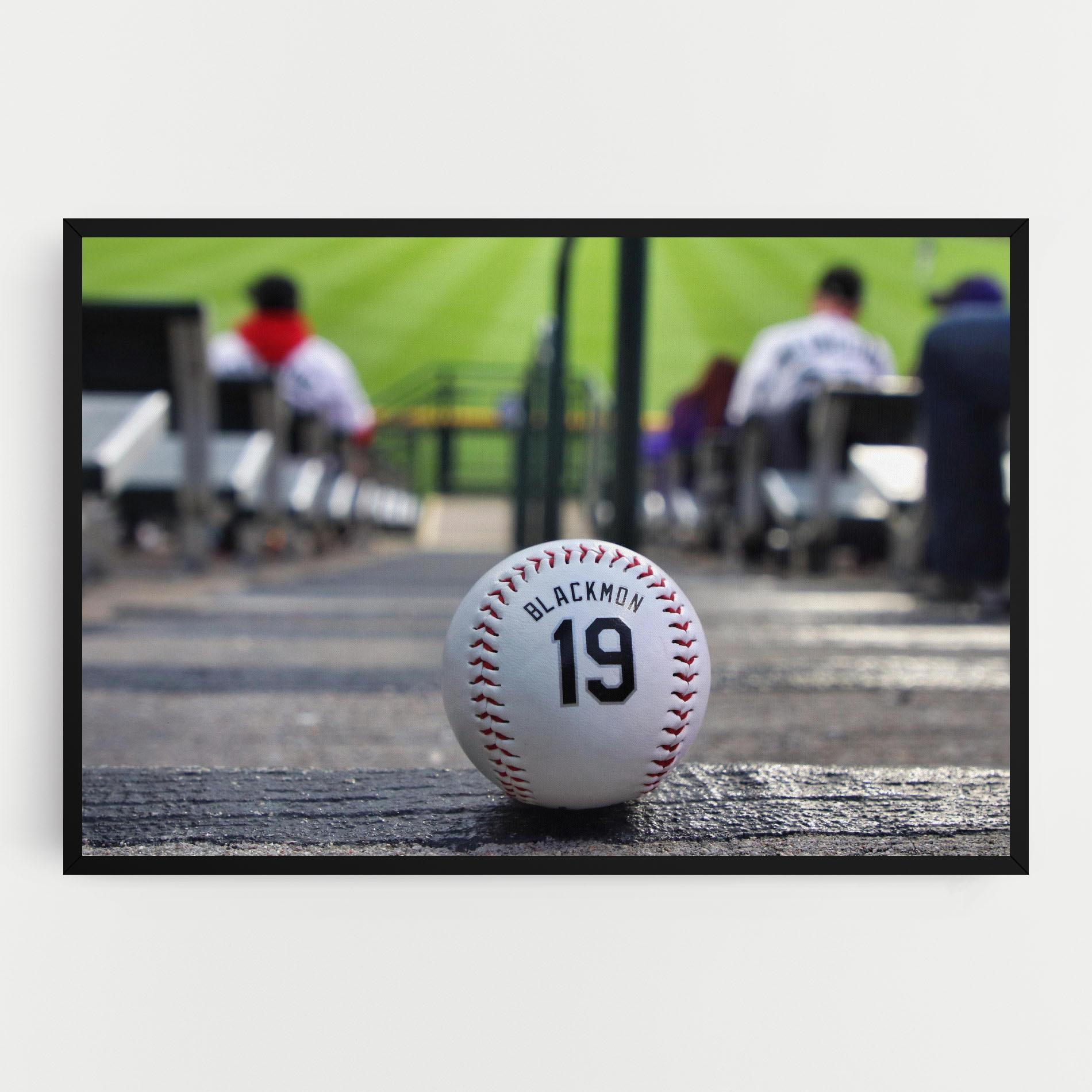 Leinwandbild Baseball Nr 19 mockup 0