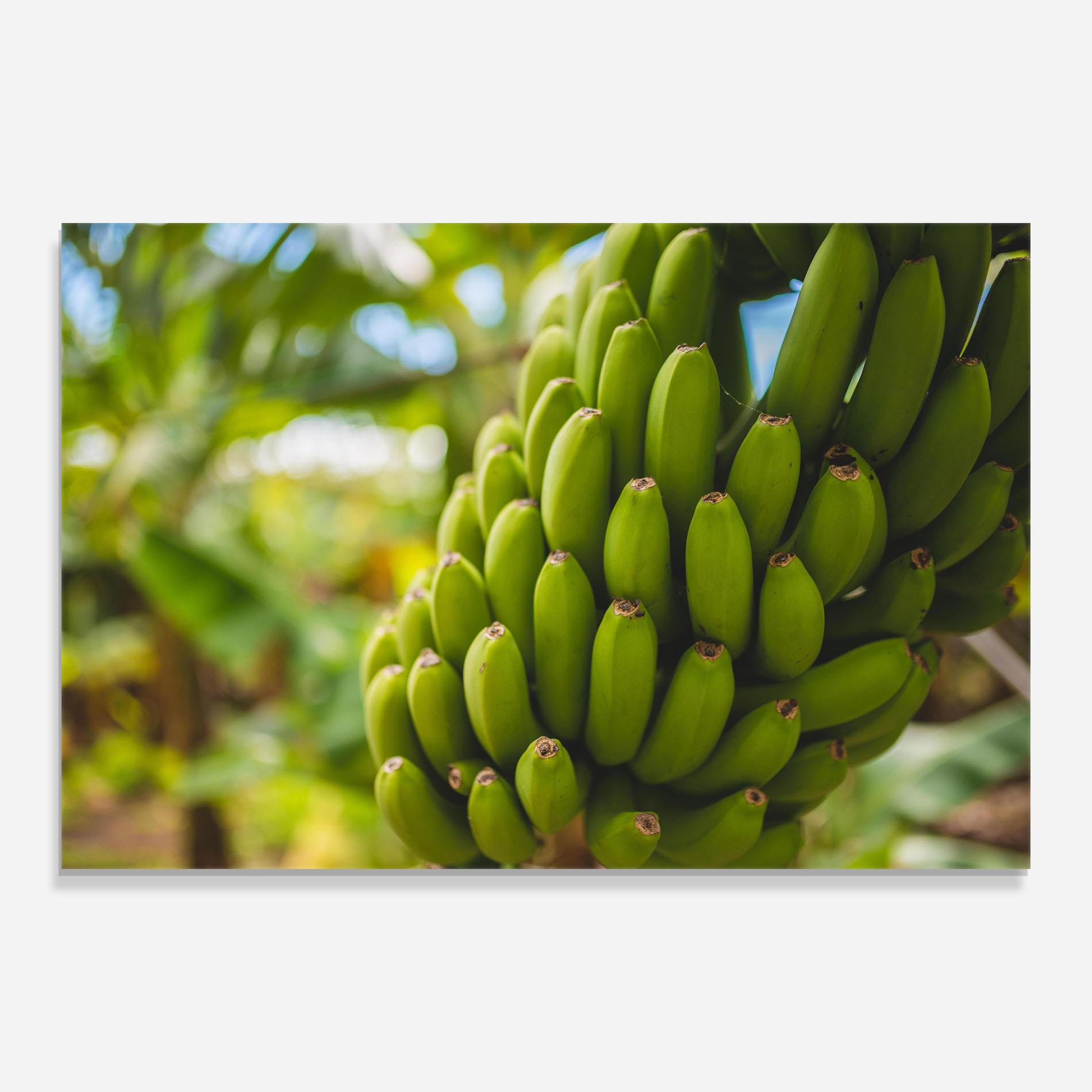 Glasbild Green Banana mockup 0