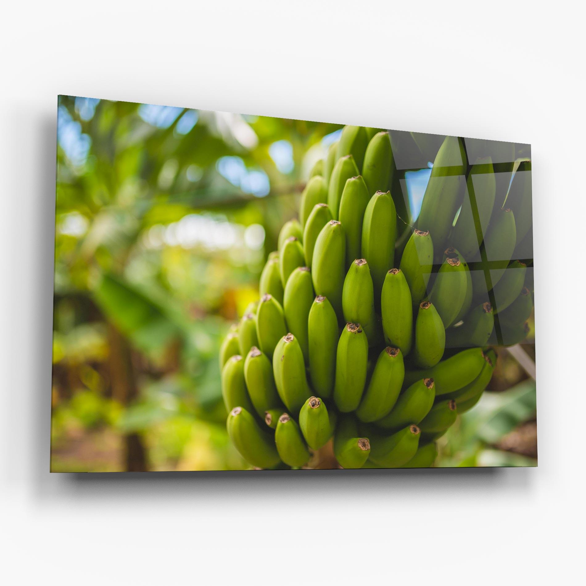 Glasbild Green Banana mockup 6