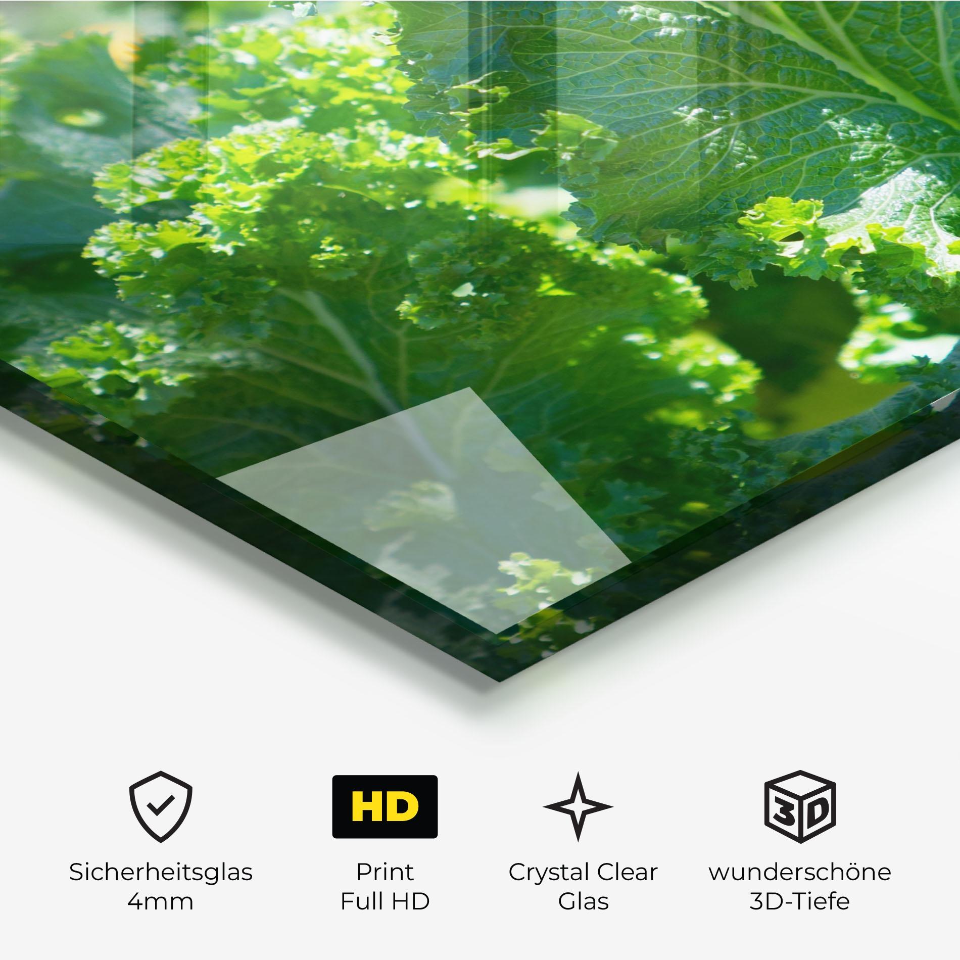 Glasbild Lettuce View mockup 3
