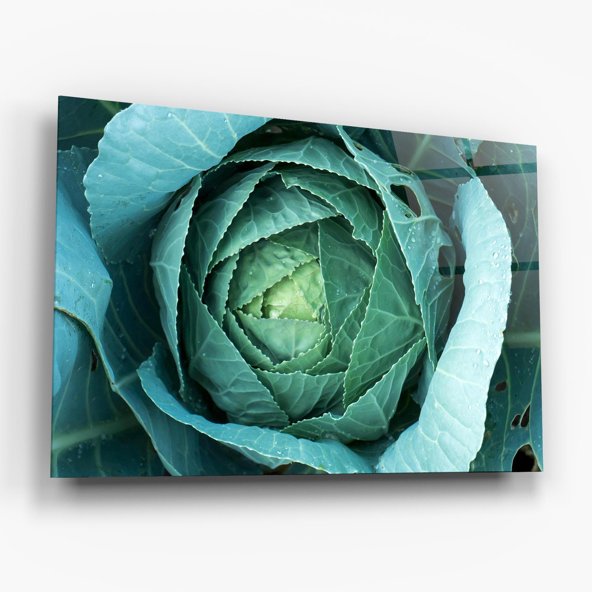 Glasbild Blue Lettuce mockup 6