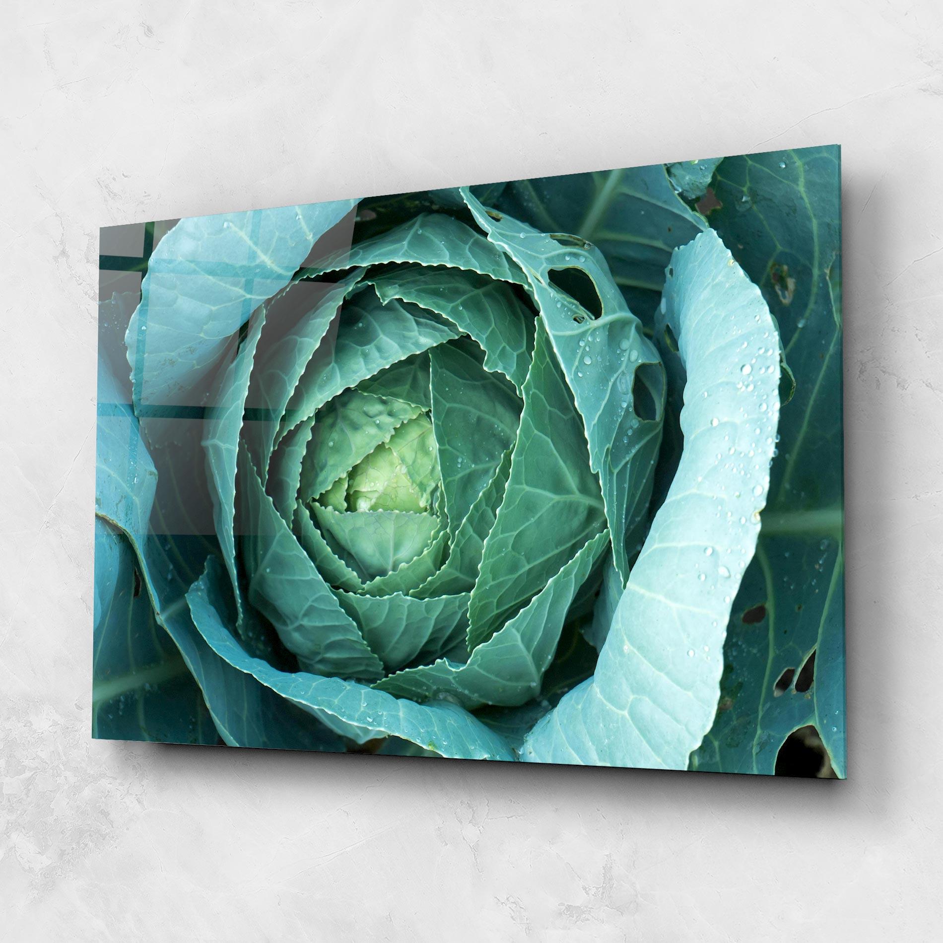 Glasbild Blue Lettuce mockup 1