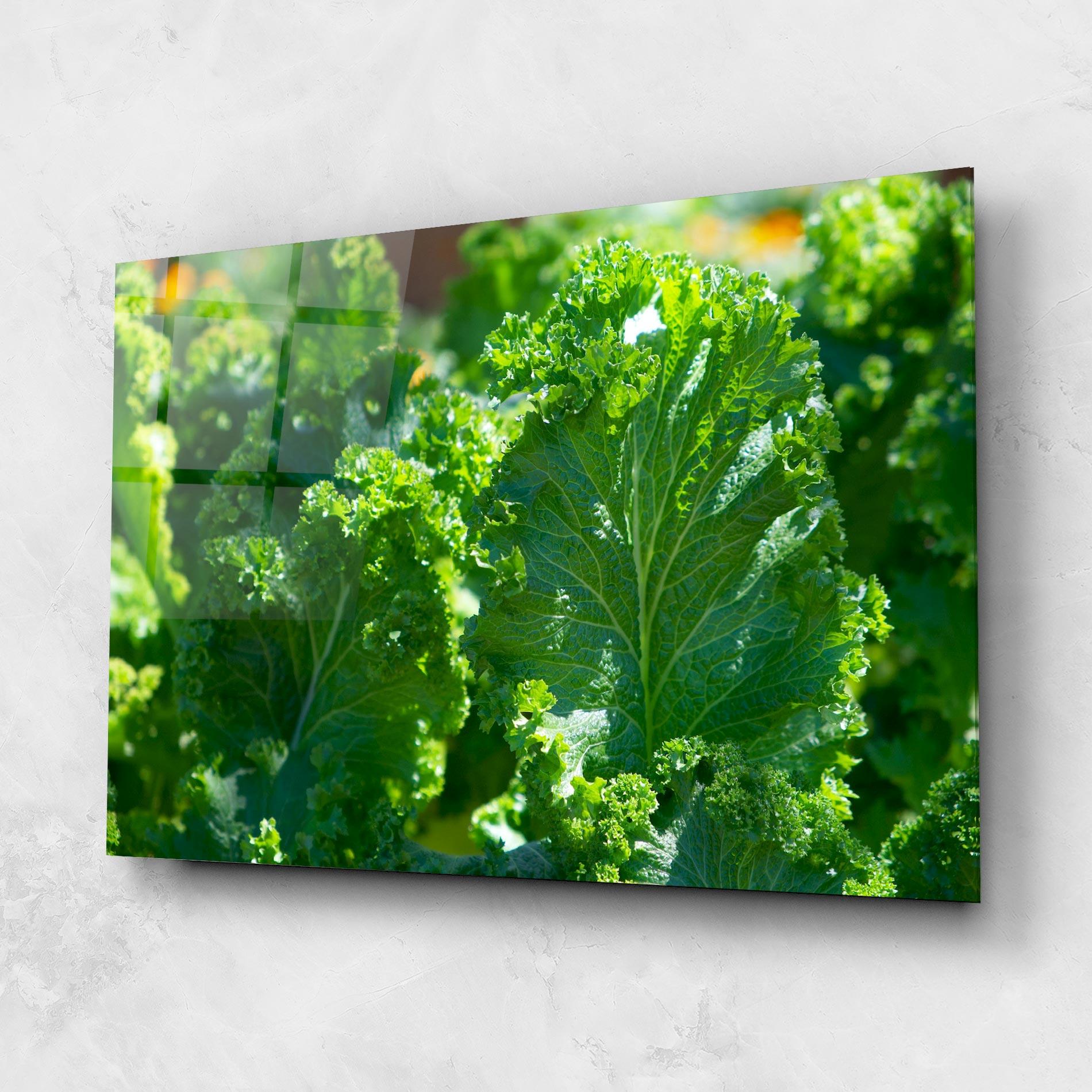 Glasbild Lettuce View mockup 1