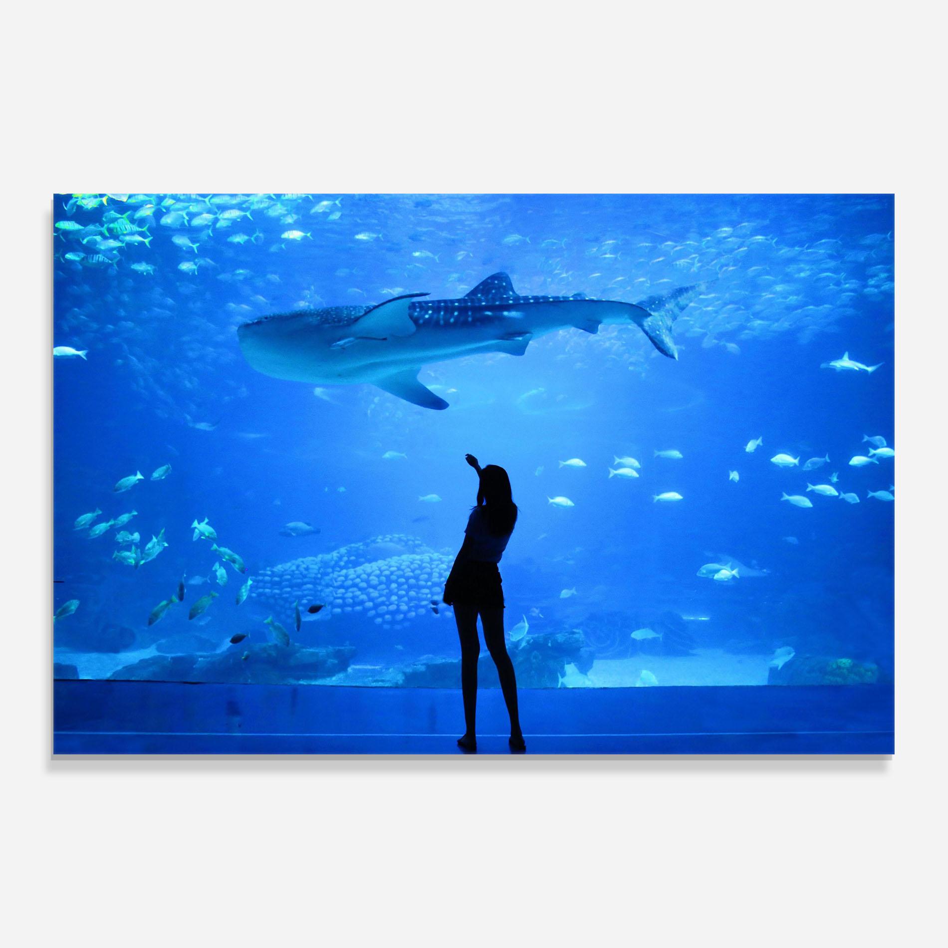 Glasbild Aquarium Girl mockup 0