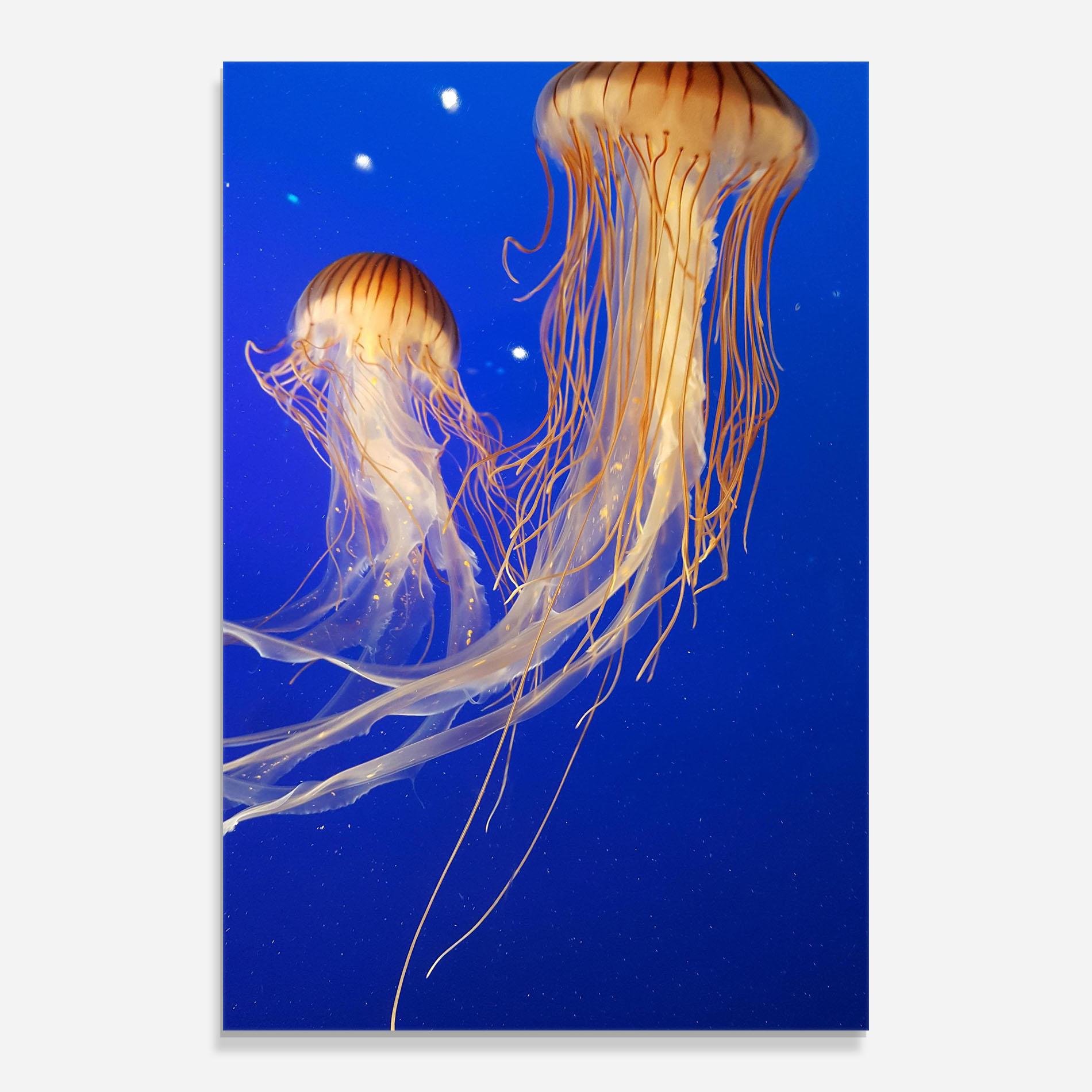 Glasbild Light Orange Jellyfish mockup 0