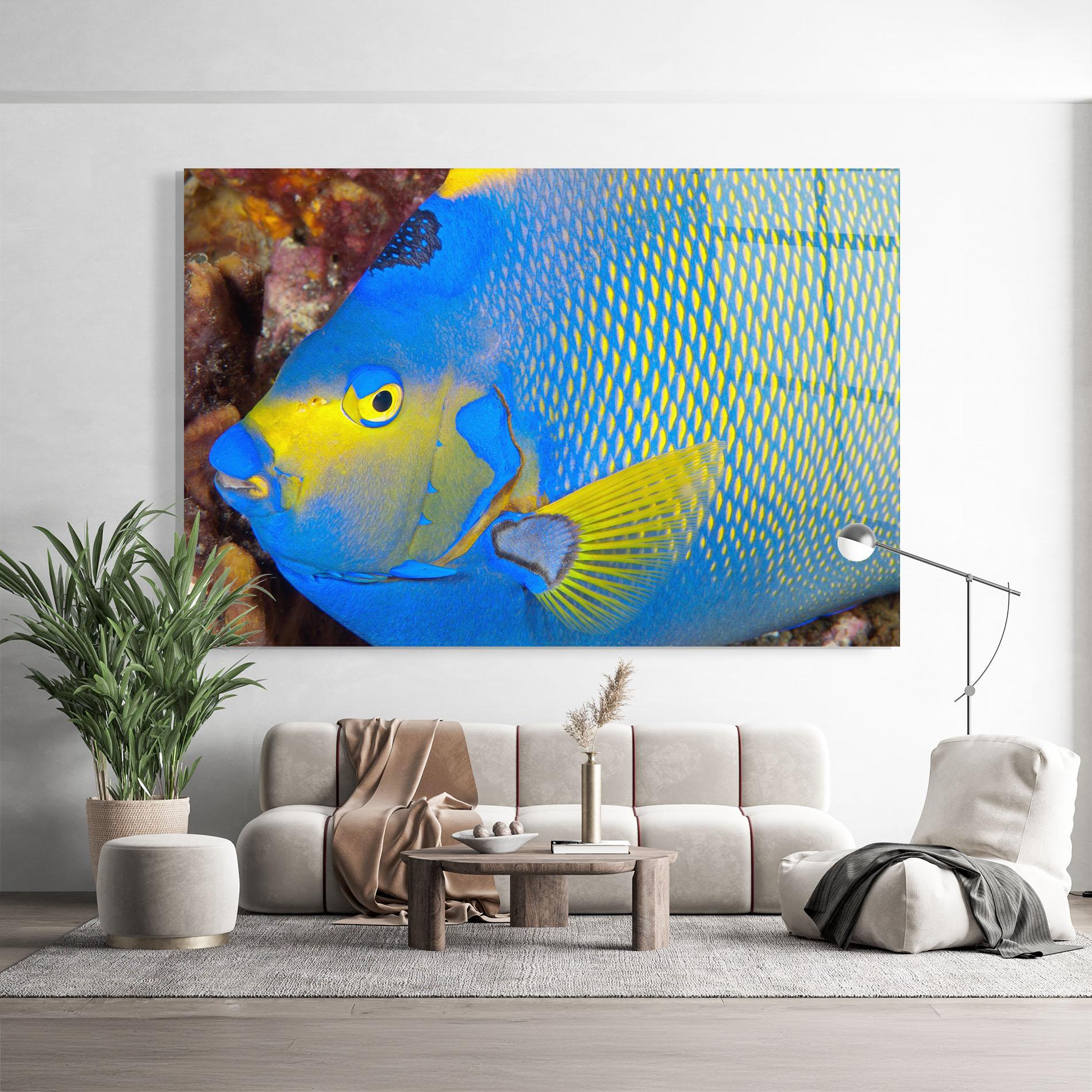 Glasbild Blue Yellow Fish mockup 9