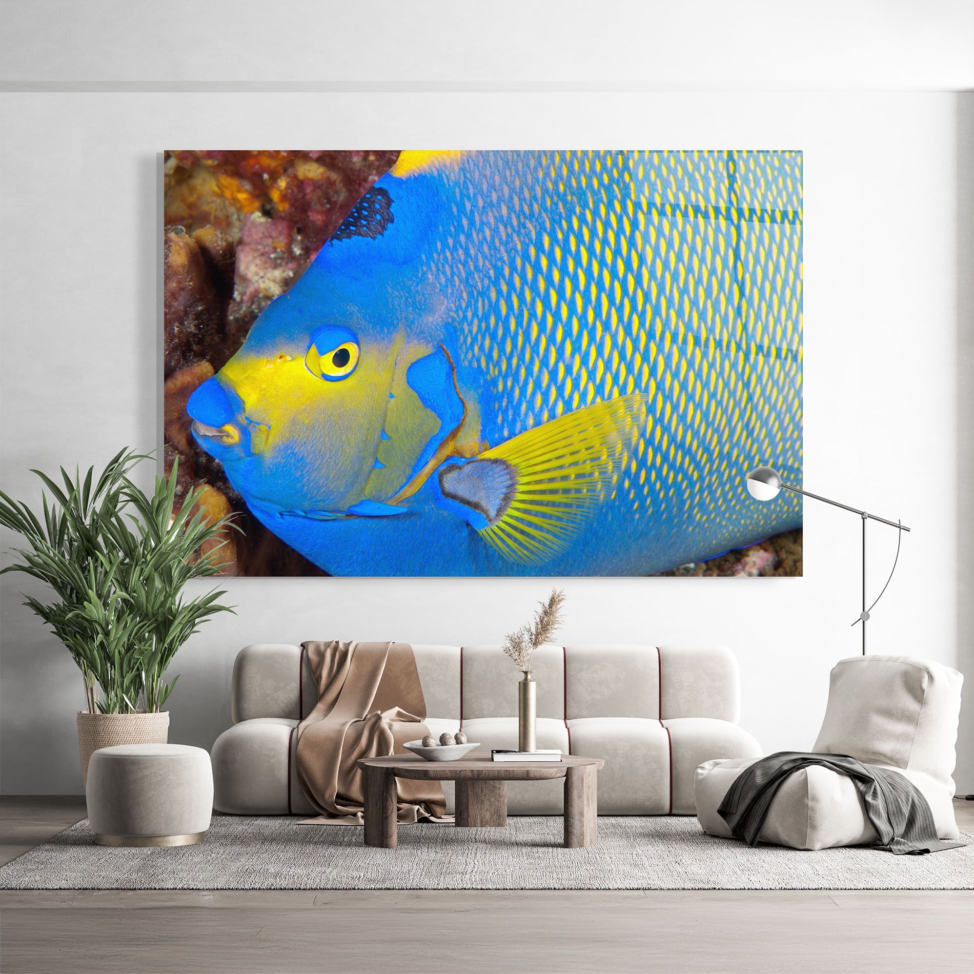 Blue Yellow Fish mockup 9