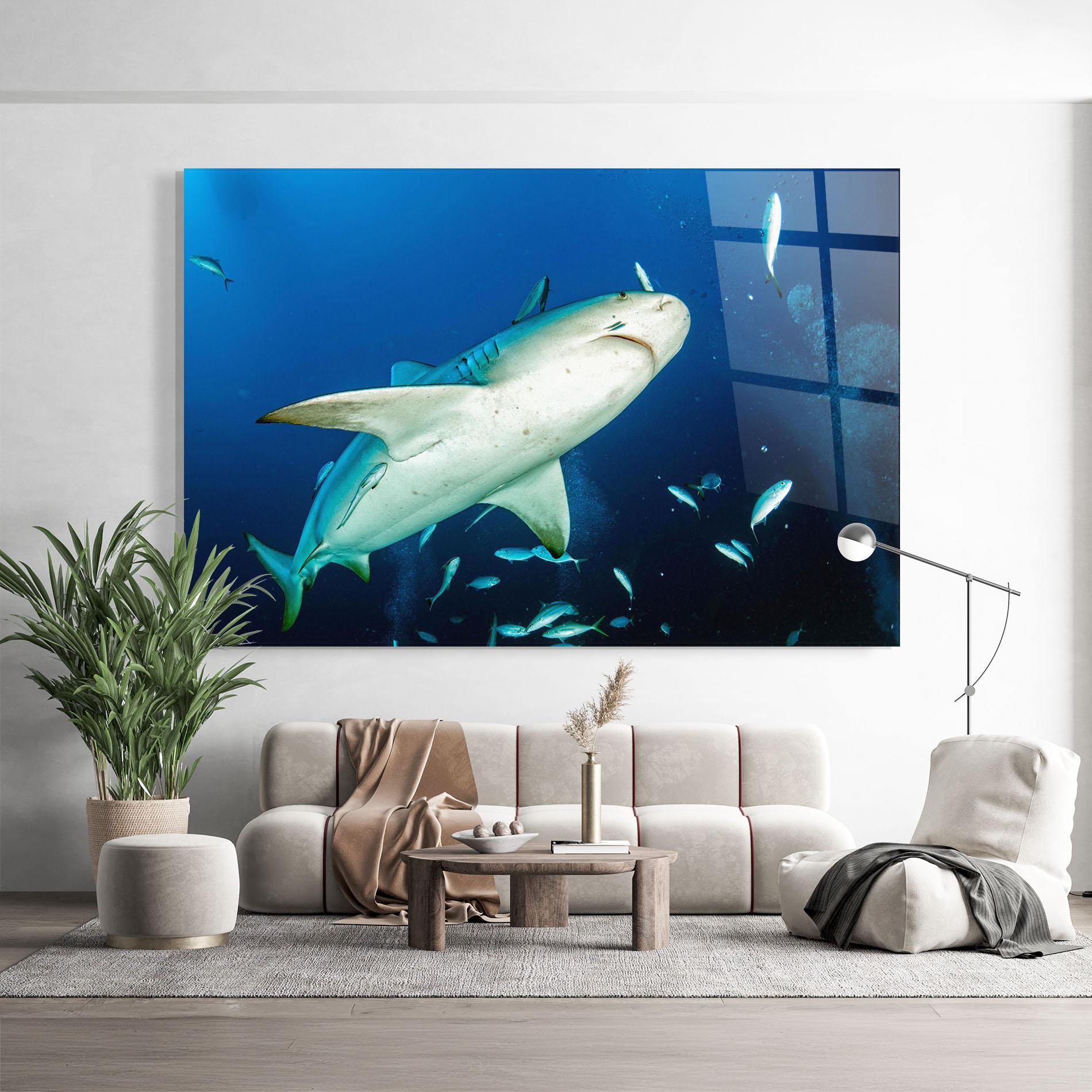 Glasbild Bull Shark mockup 9