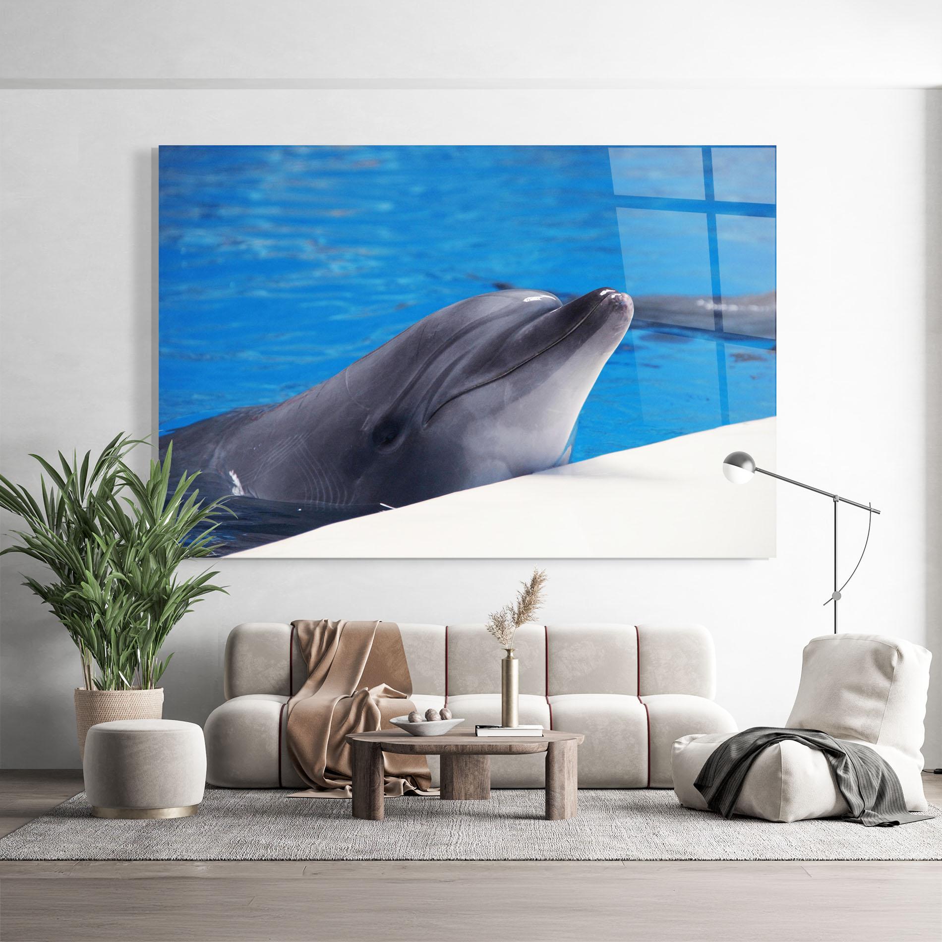Glasbild Cute Dolphin mockup 9