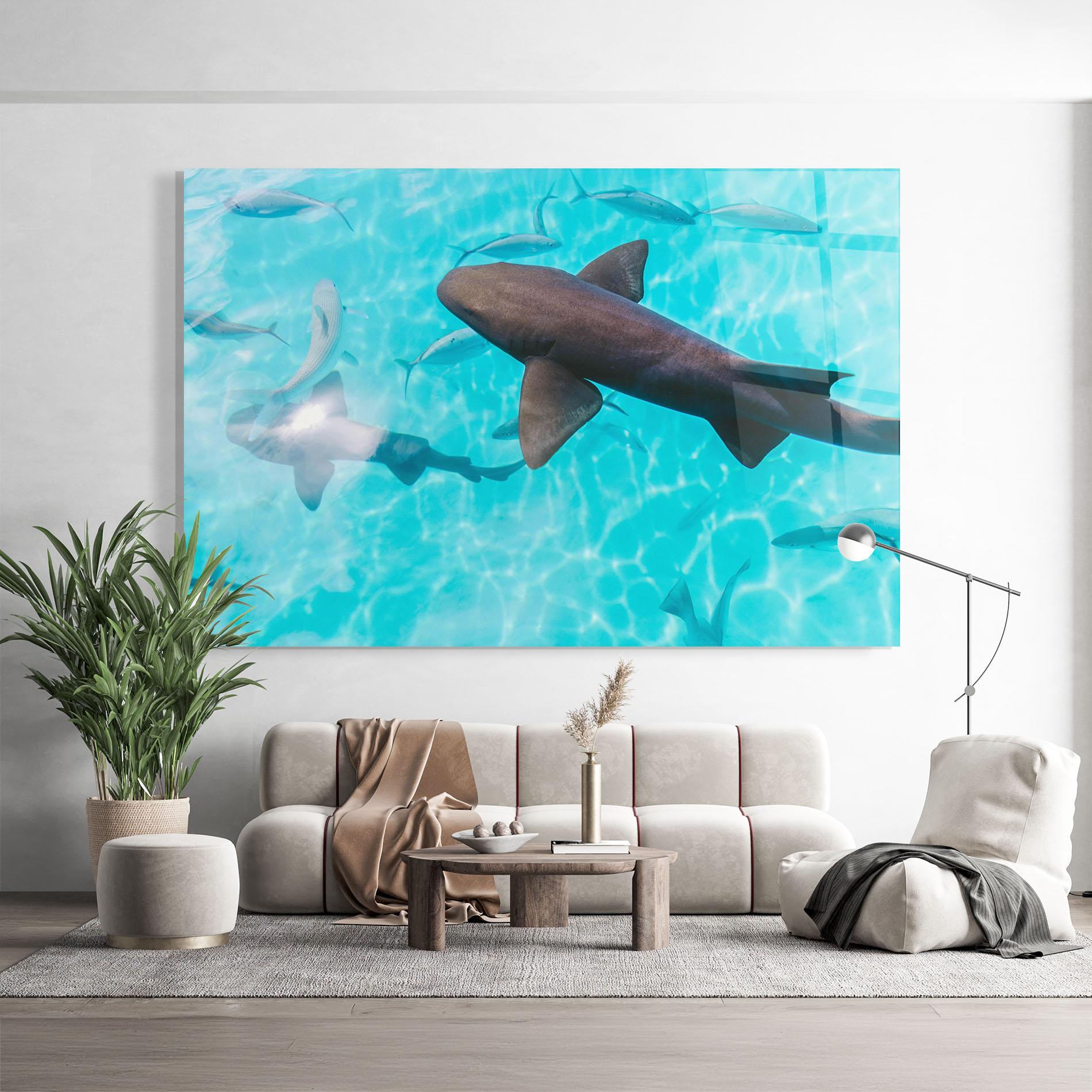 Glasbild Cute Shark mockup 9