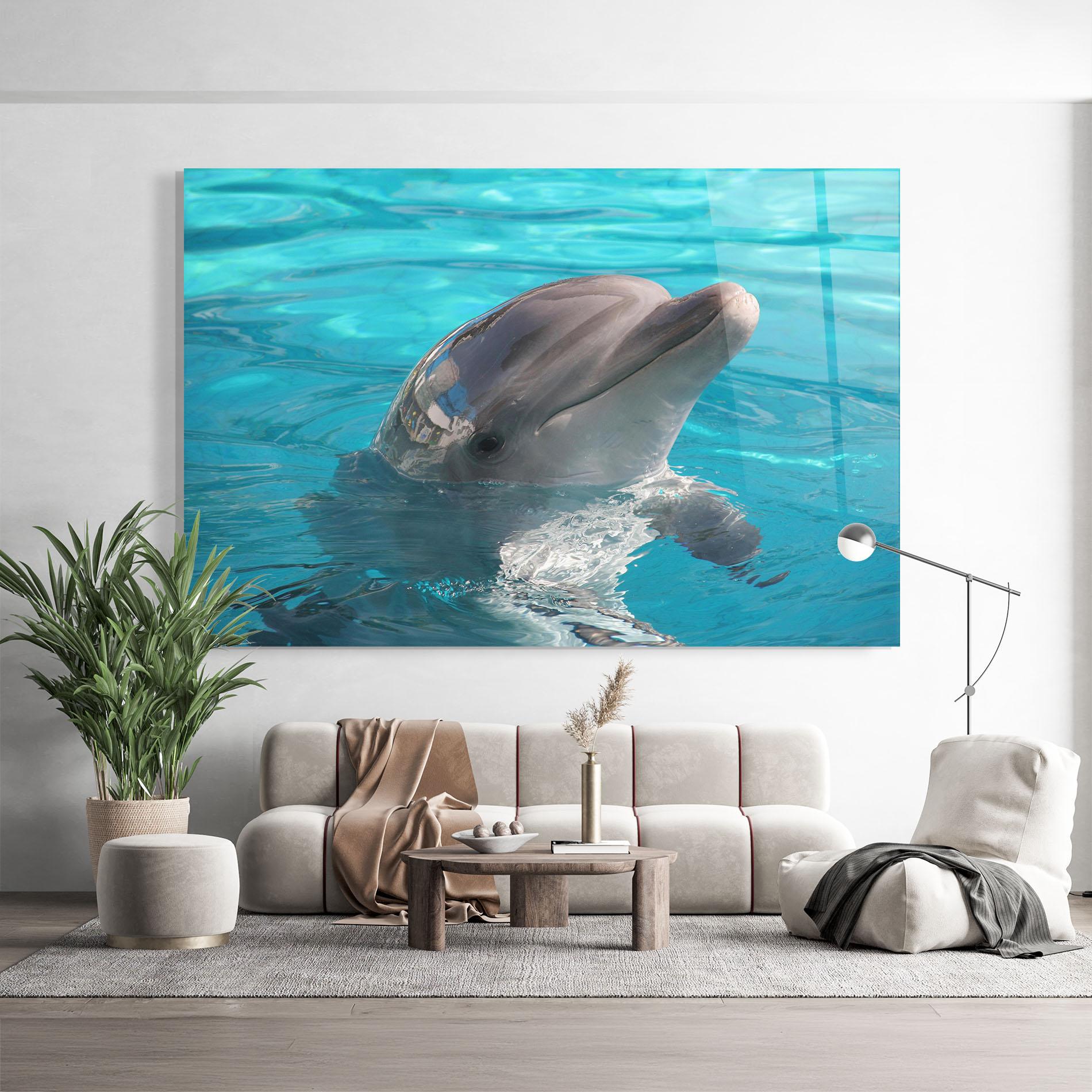 Glasbild Dolphin Poses mockup 9