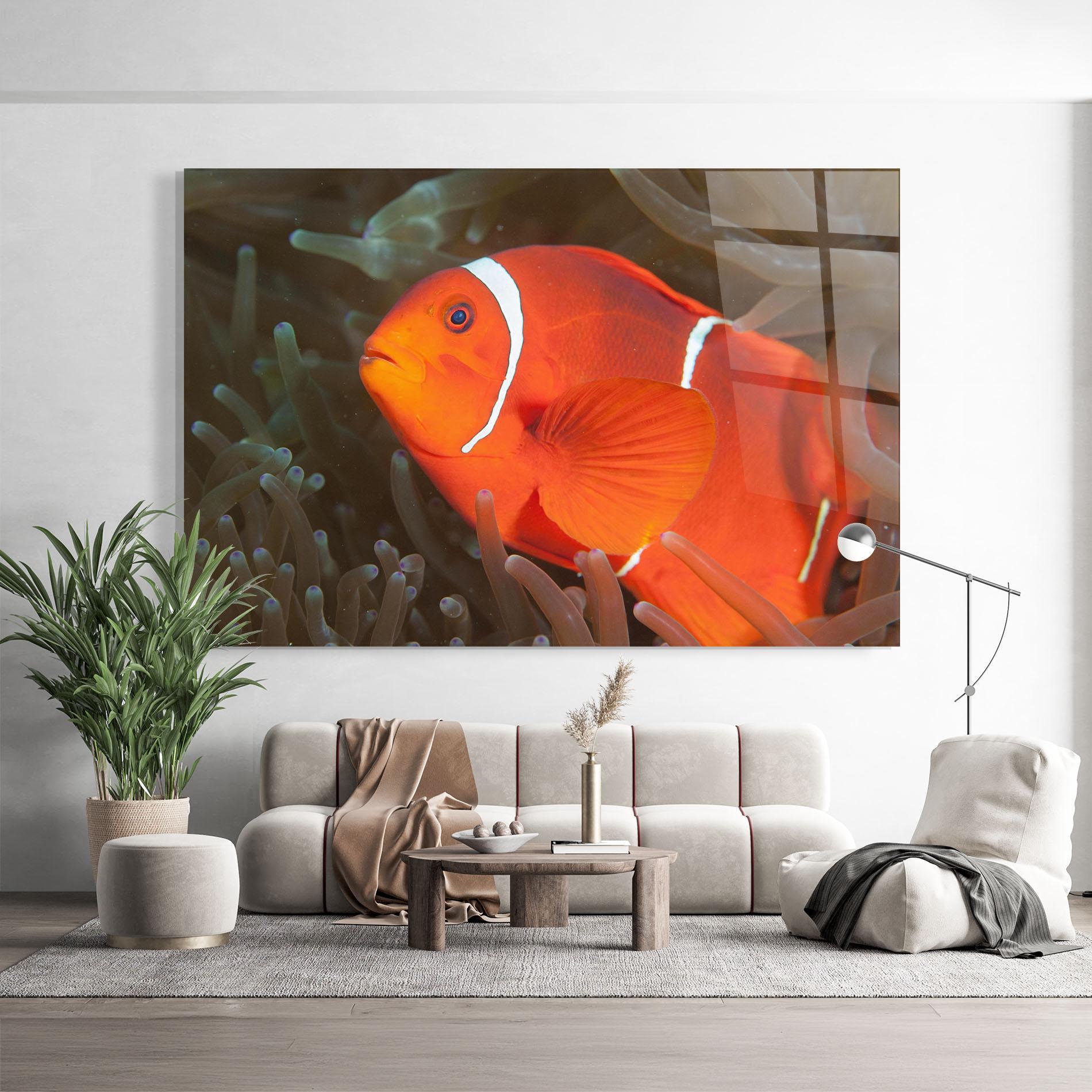 Glasbild Nemo Clownfish mockup 9