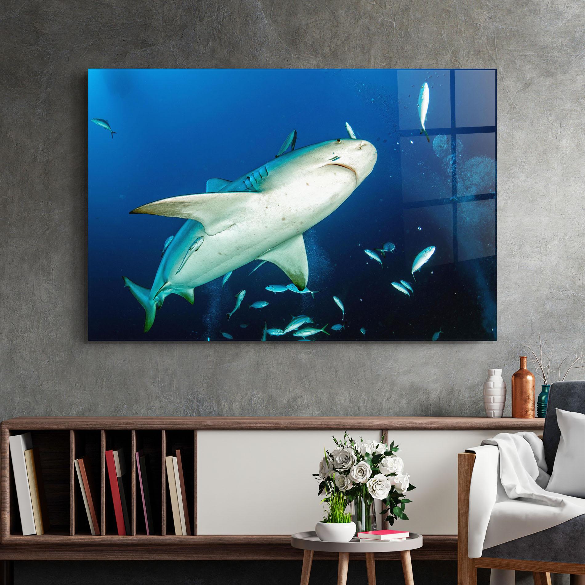 Glasbild Bull Shark mockup 2