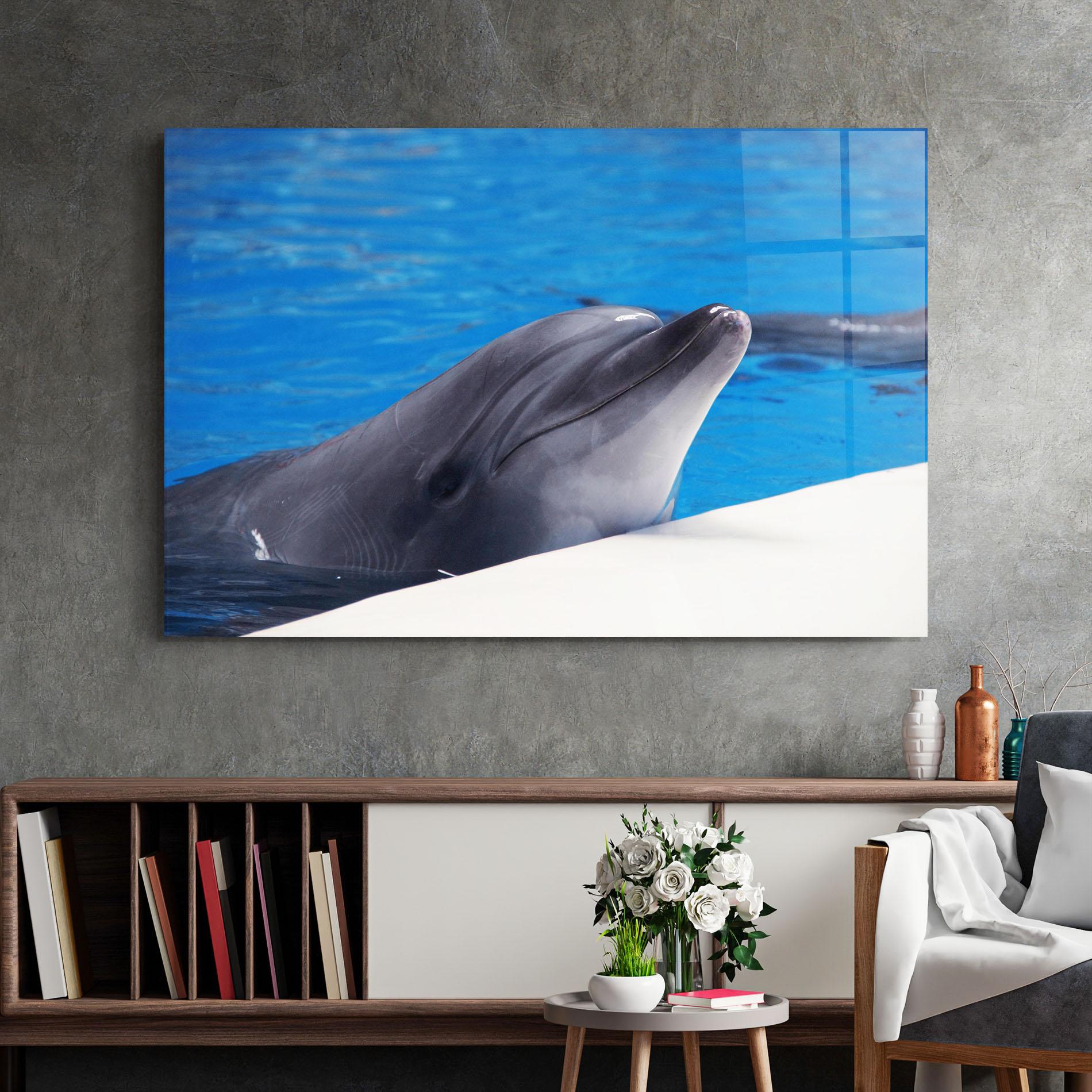 Glasbild Cute Dolphin mockup 2