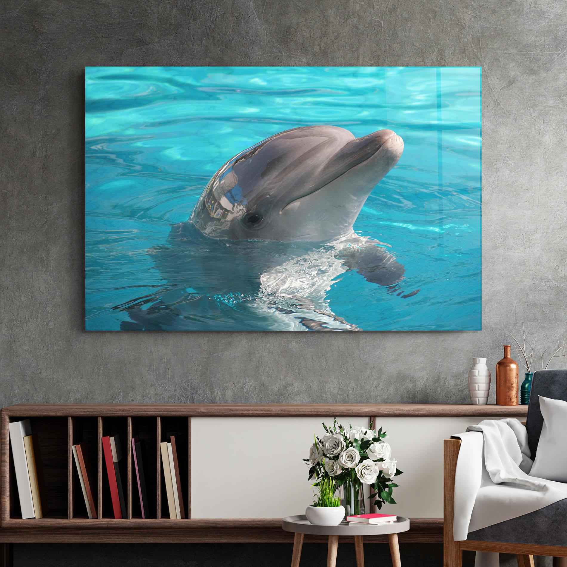 Glasbild Dolphin Poses mockup 2