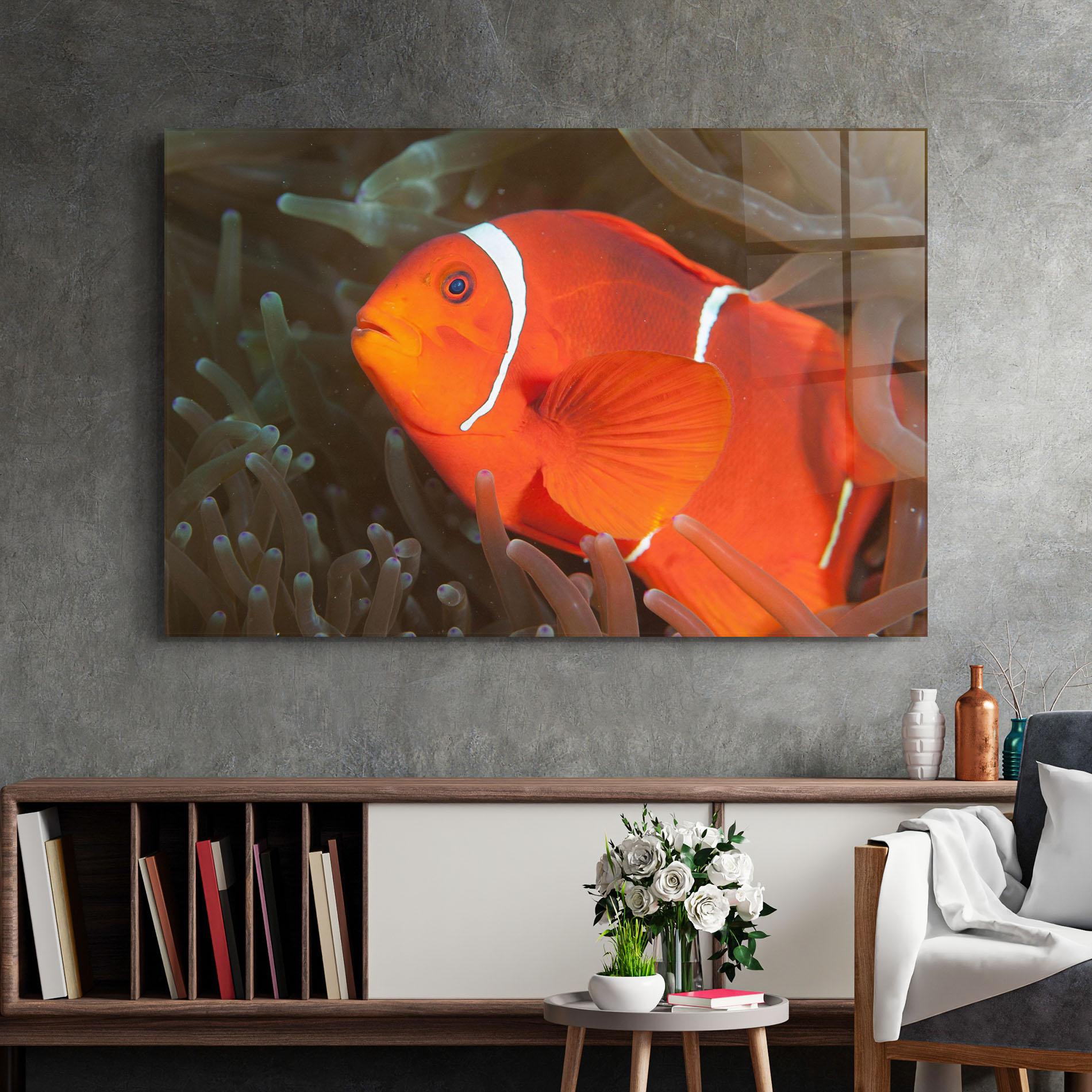 Glasbild Nemo Clownfish mockup 2