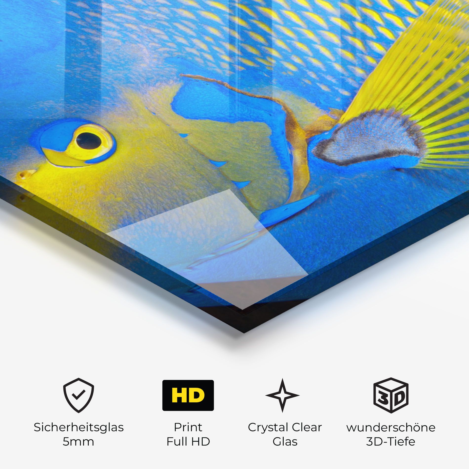 Blue Yellow Fish mockup 3