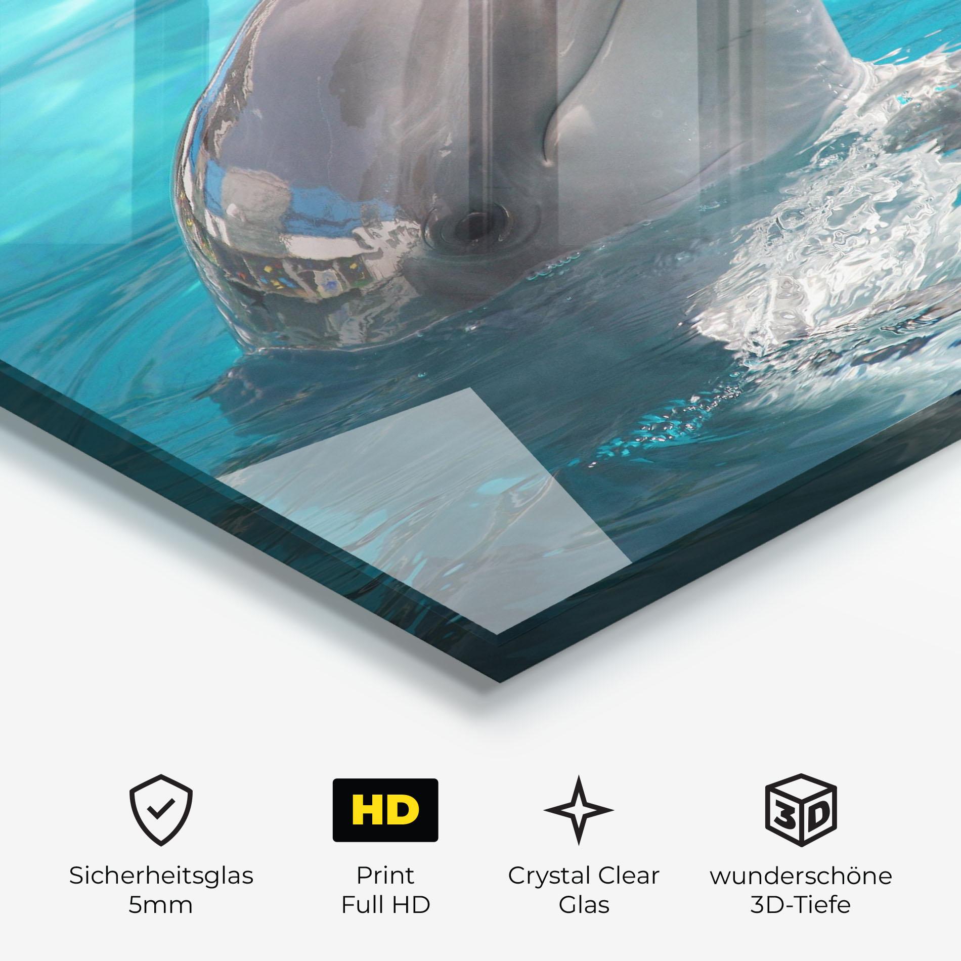 Glasbild Dolphin Poses mockup 3