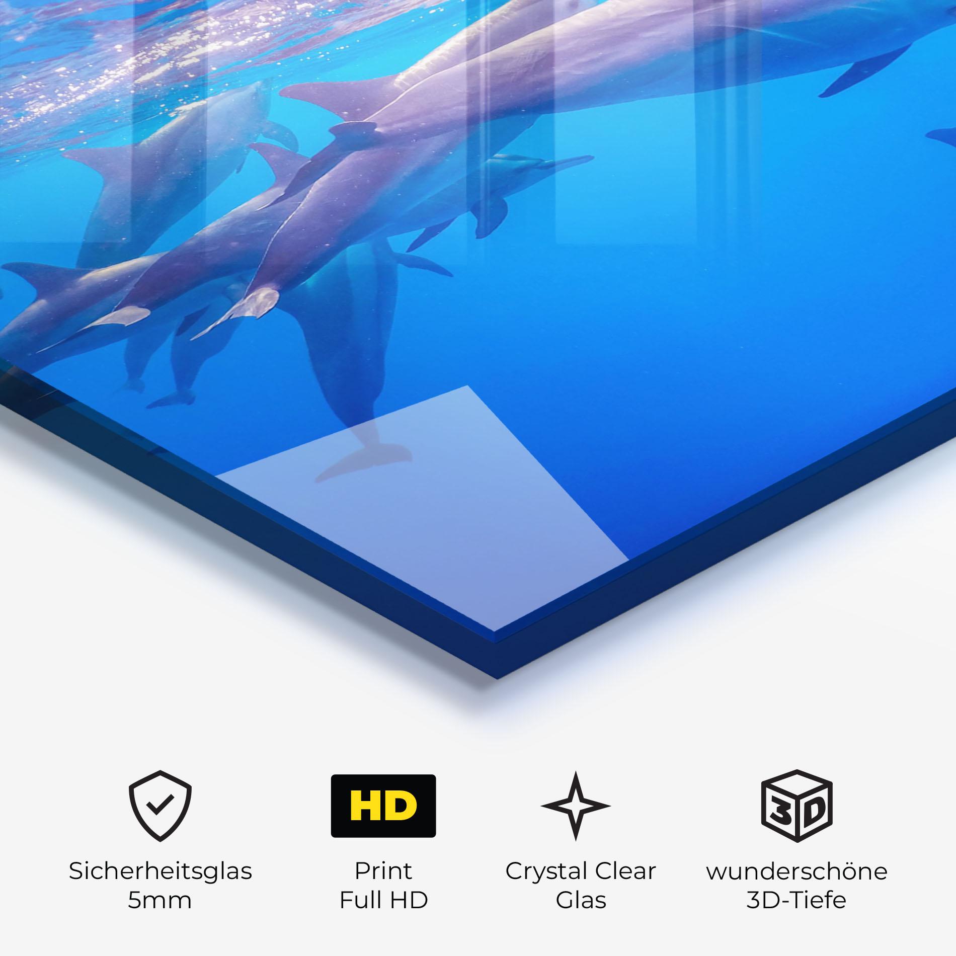 Glasbild Dolphin Family mockup 3