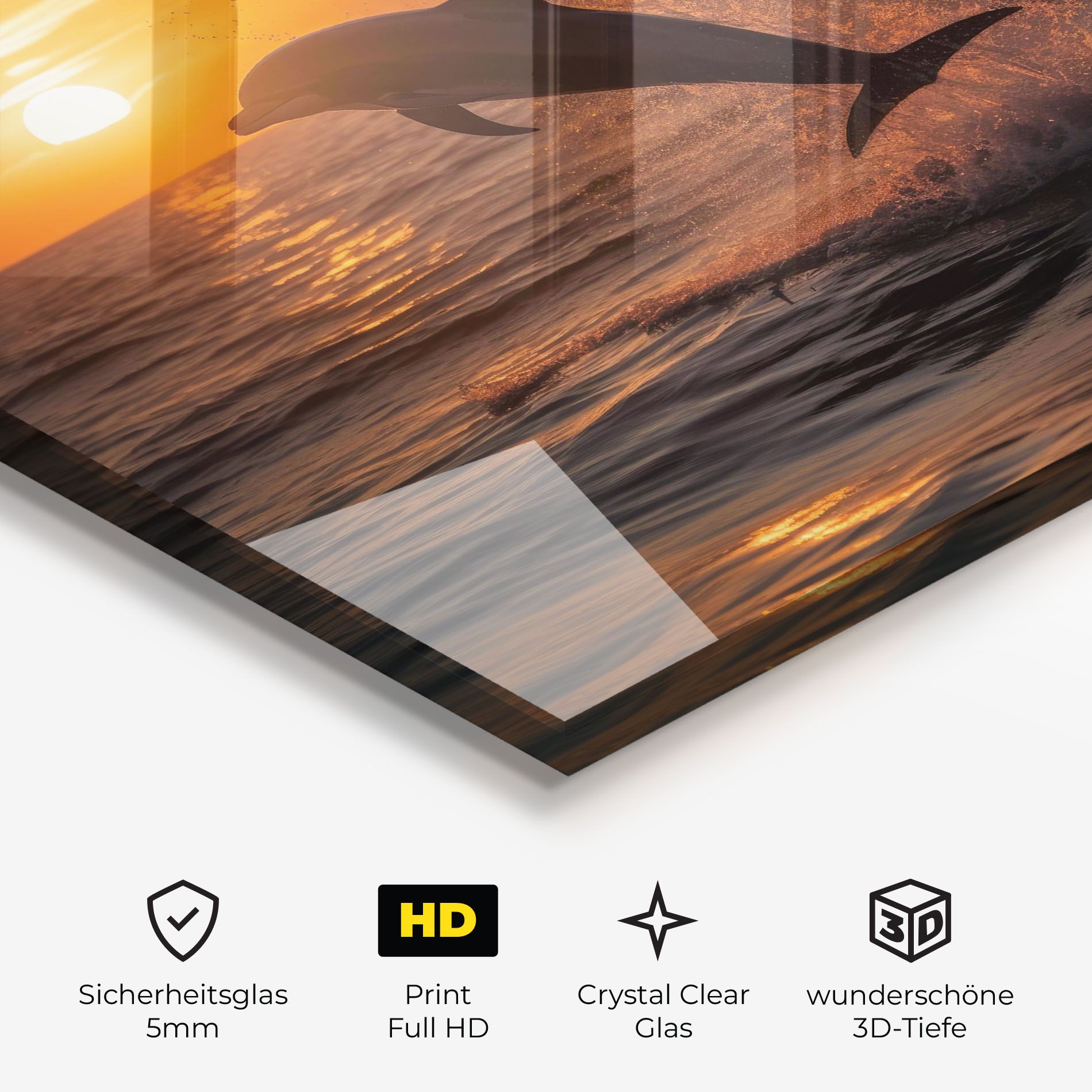 Dolphin Jump mockup 3