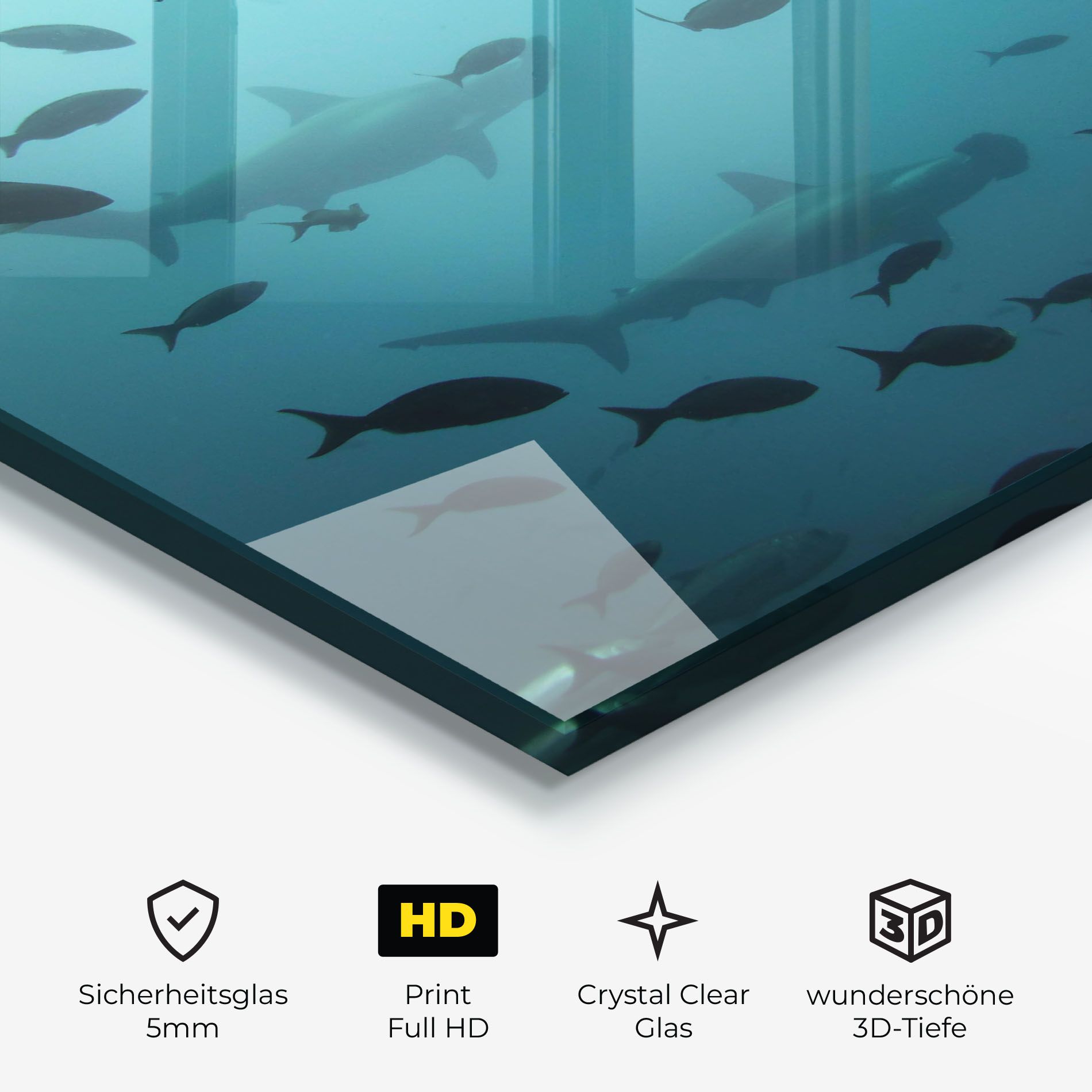 Fish Shilouette mockup 3