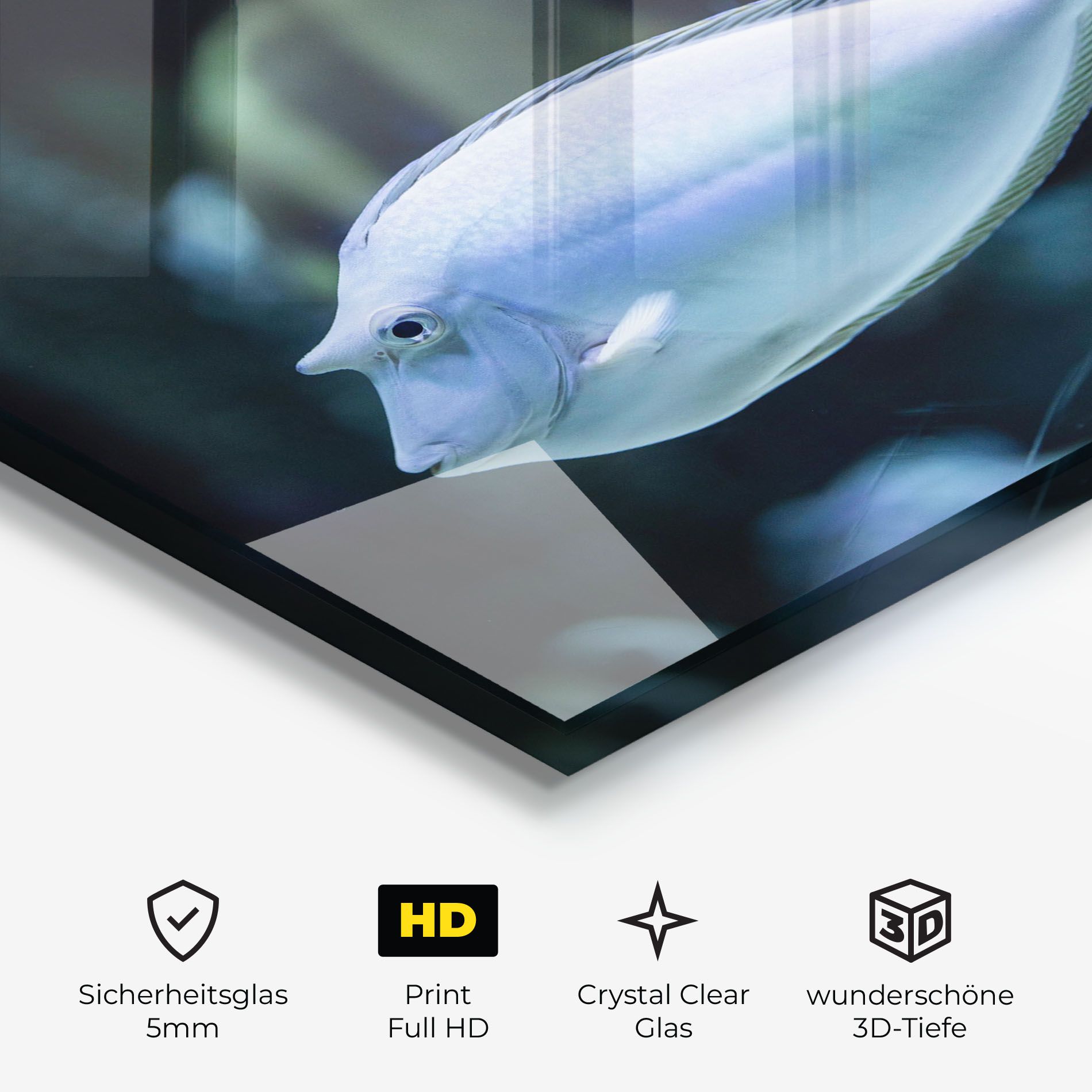 Funny Face Fish mockup 3