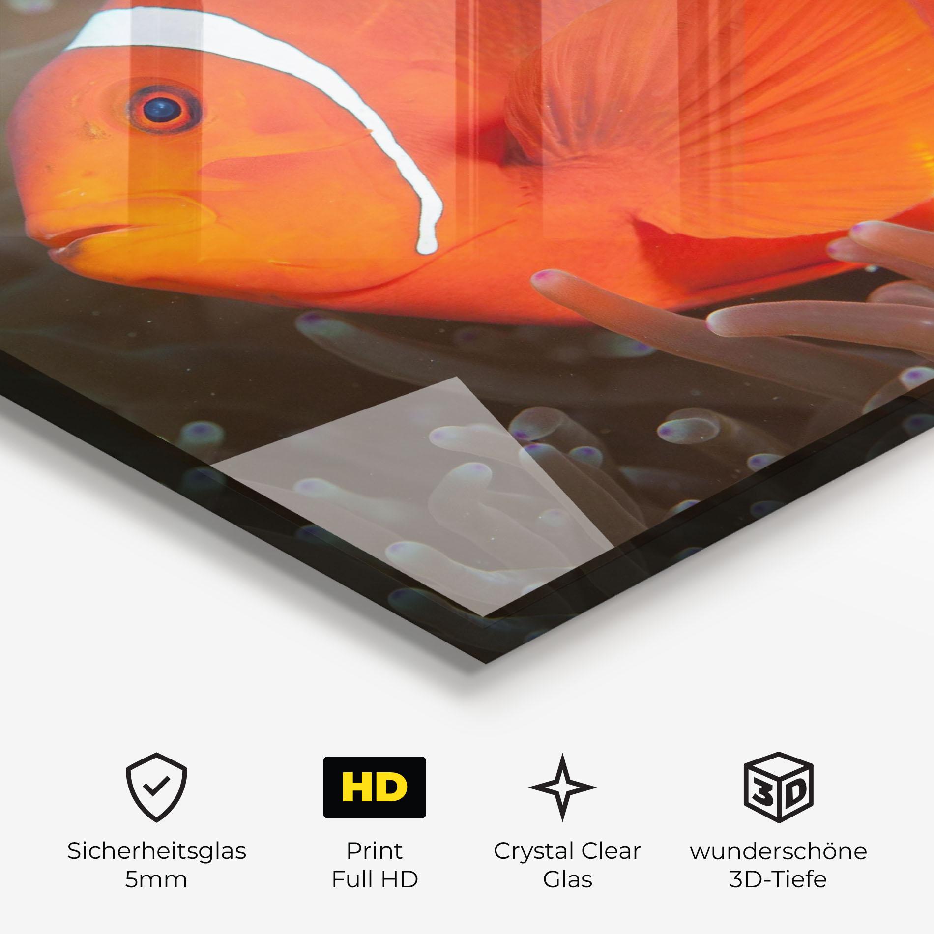 Glasbild Nemo Clownfish mockup 3