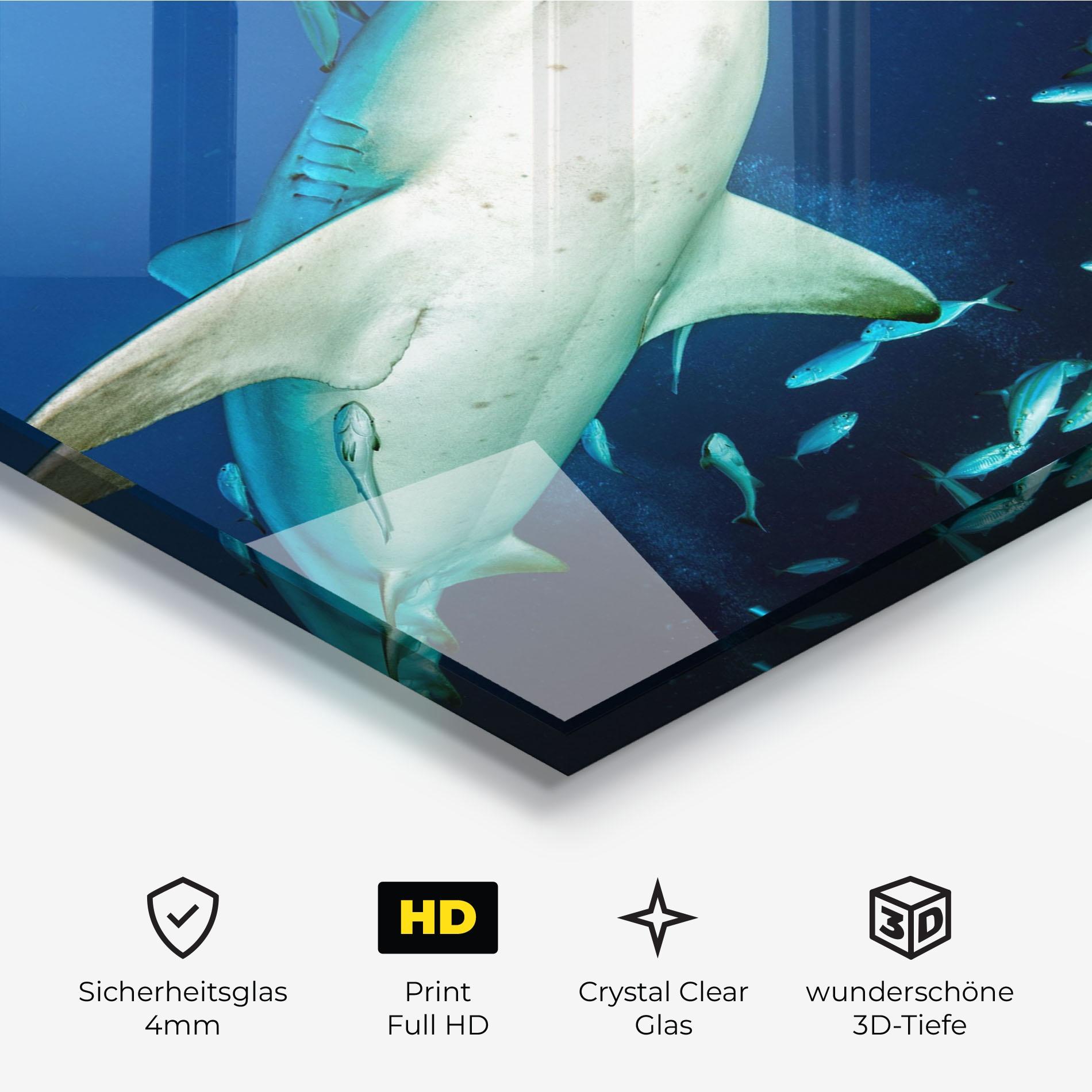 Glasbild Bull Shark mockup 3