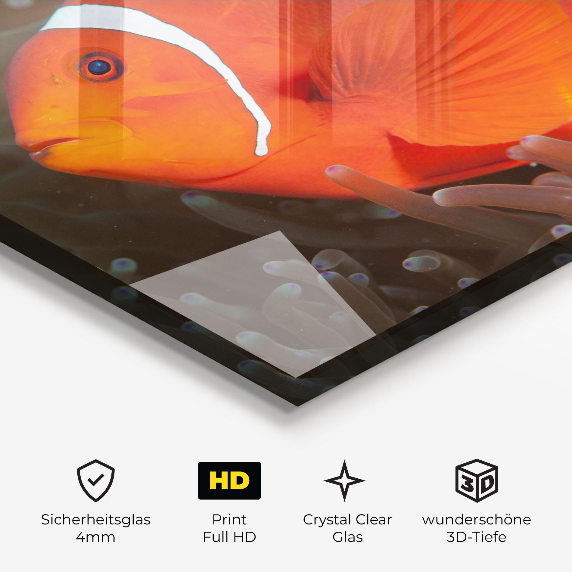 Glasbild Nemo Clownfish mockup 3