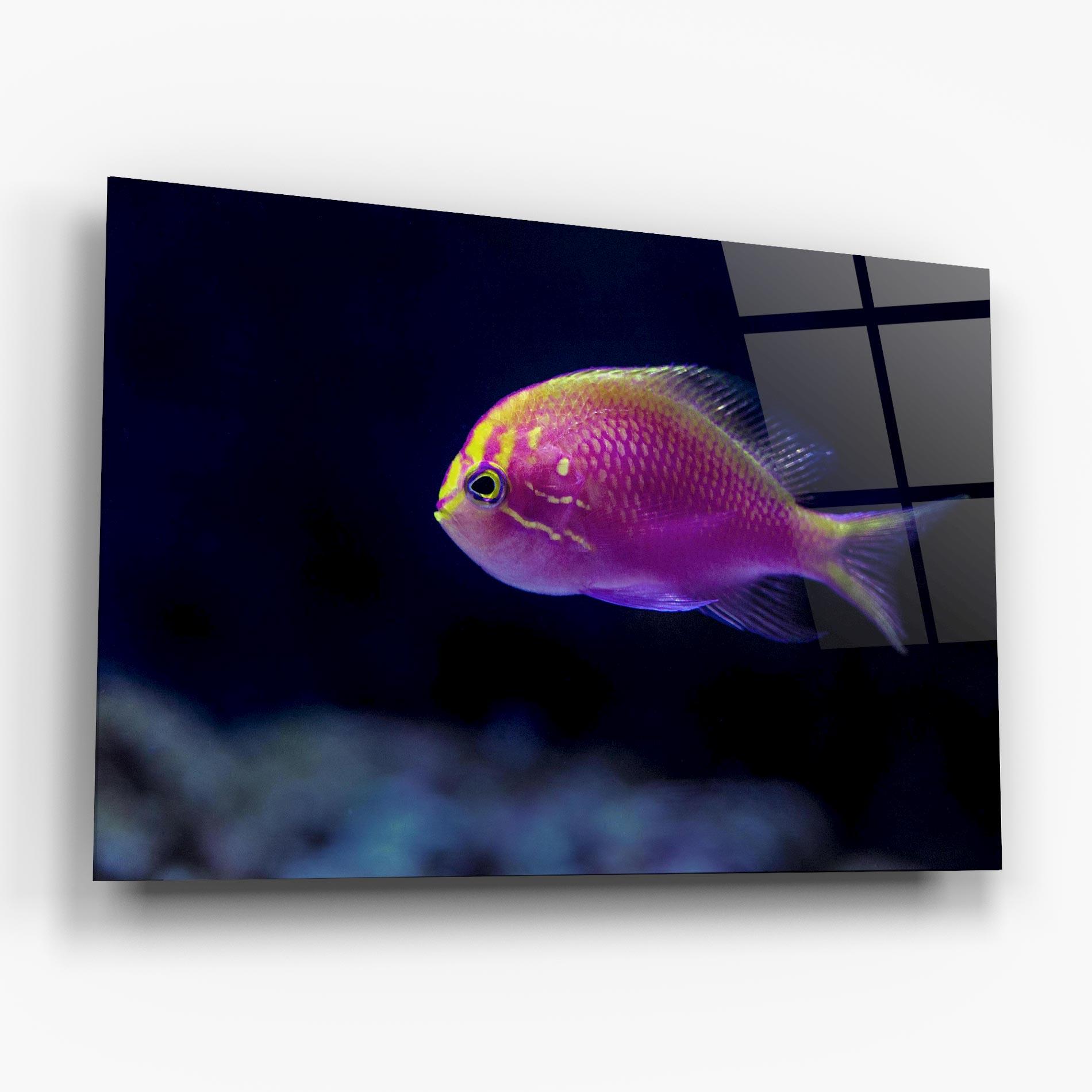 Glasbild Angry Pink Fish mockup 6