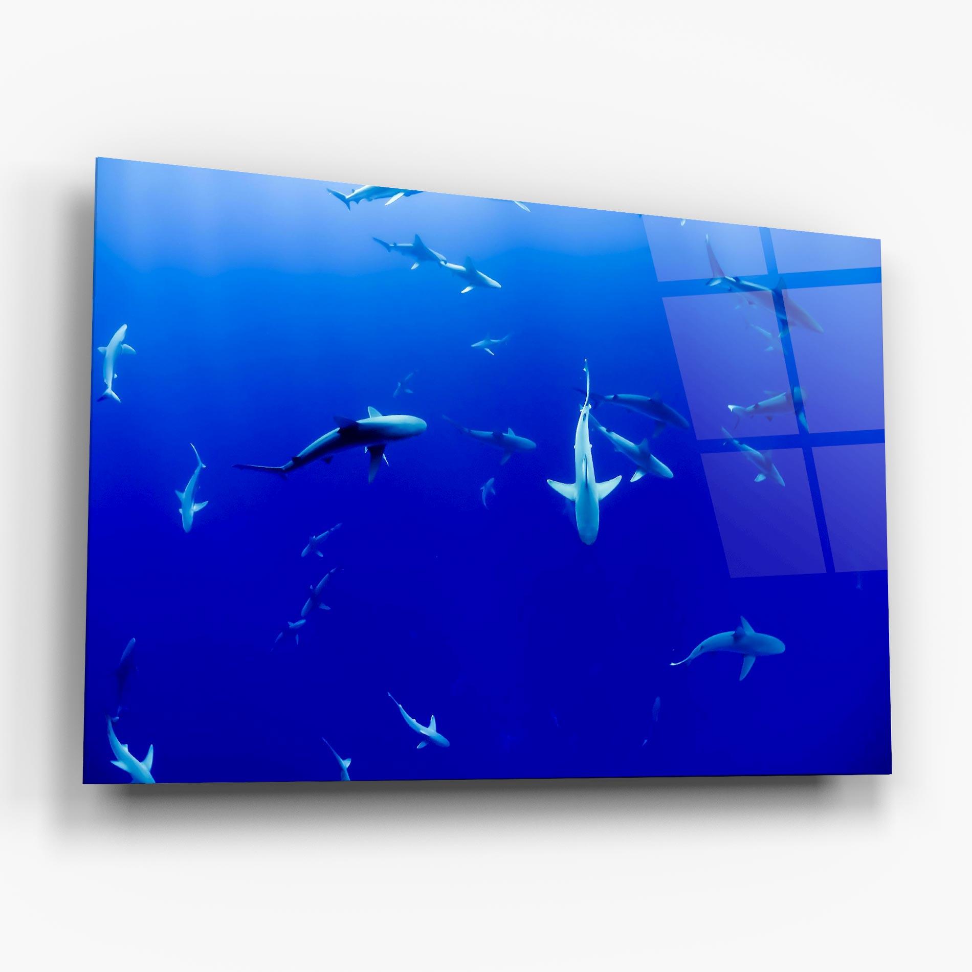 Glasbild Baby Sharks mockup 6