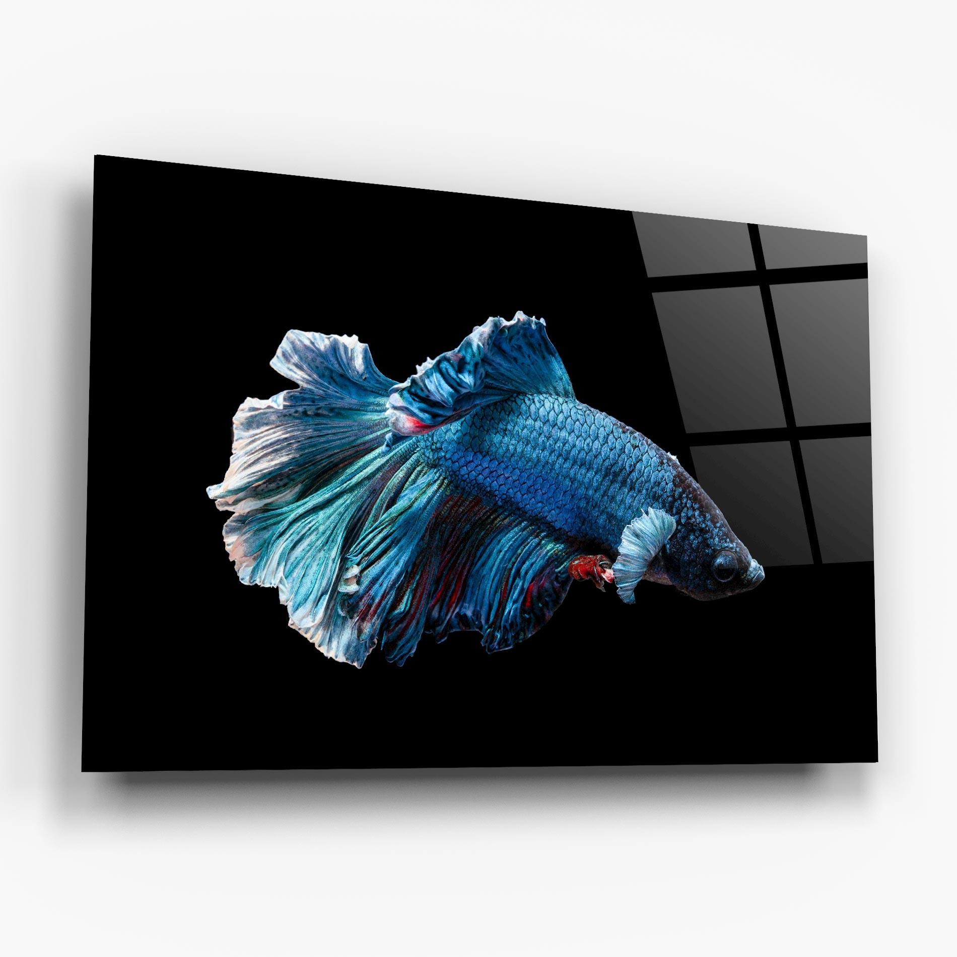 Glasbild Blue Betta mockup 6