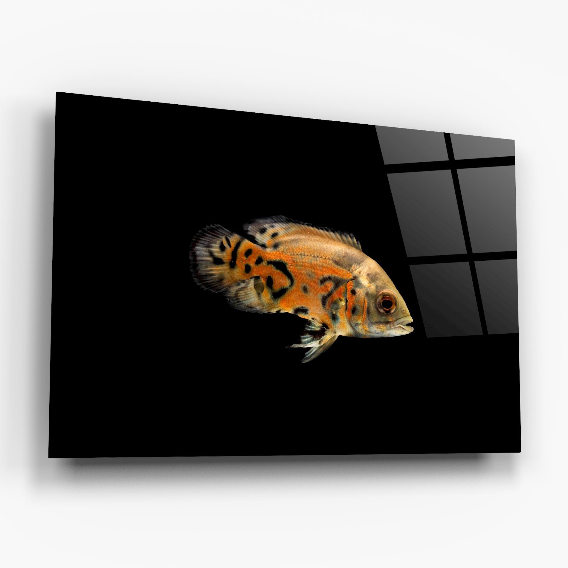 Glasbild Cute Brown Fish mockup 6