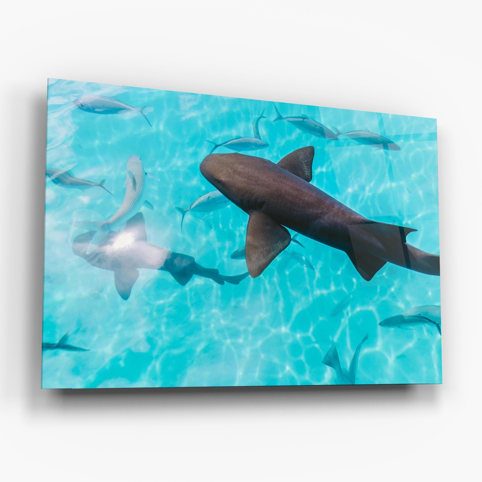 Glasbild Cute Shark mockup 6