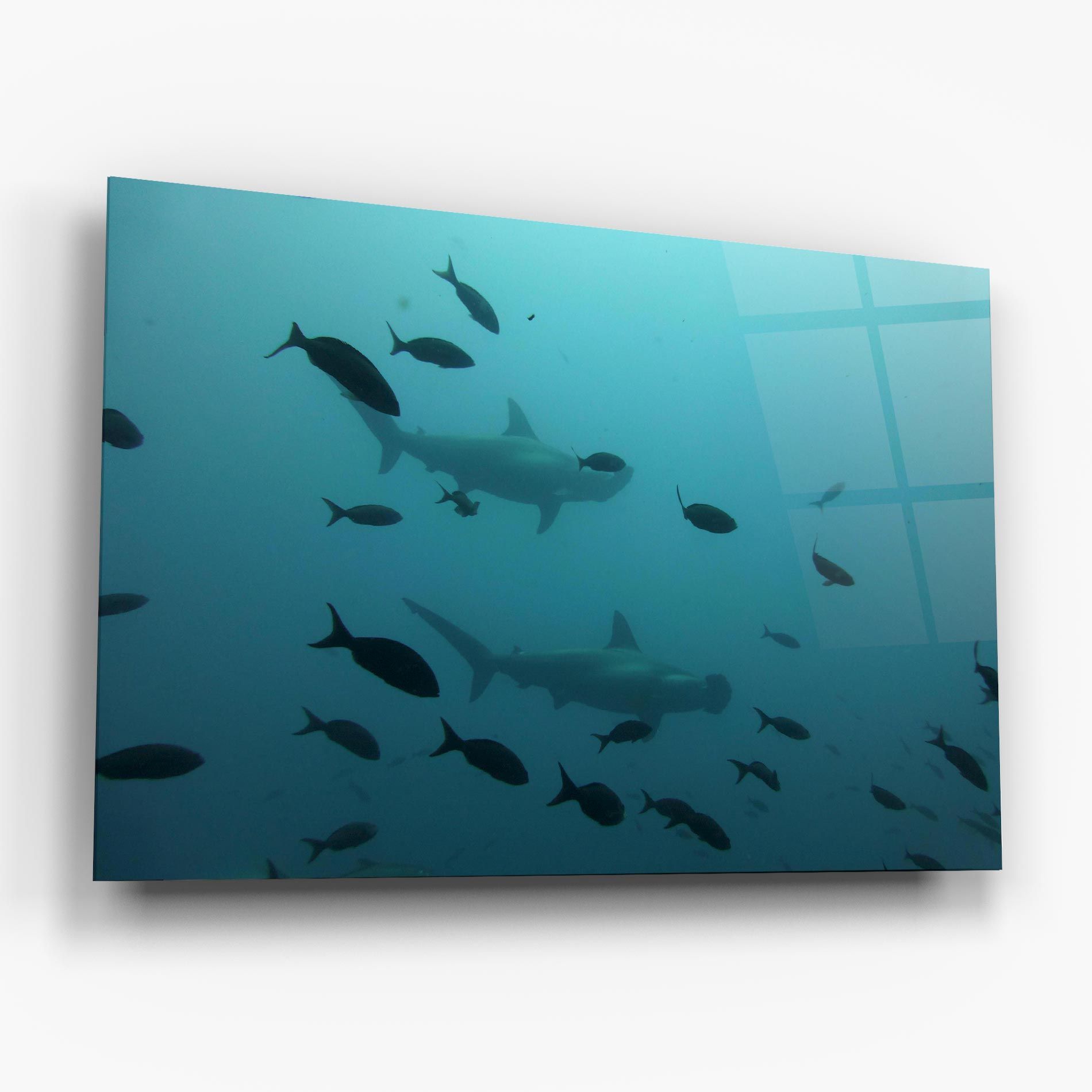 Fish Shilouette mockup 6