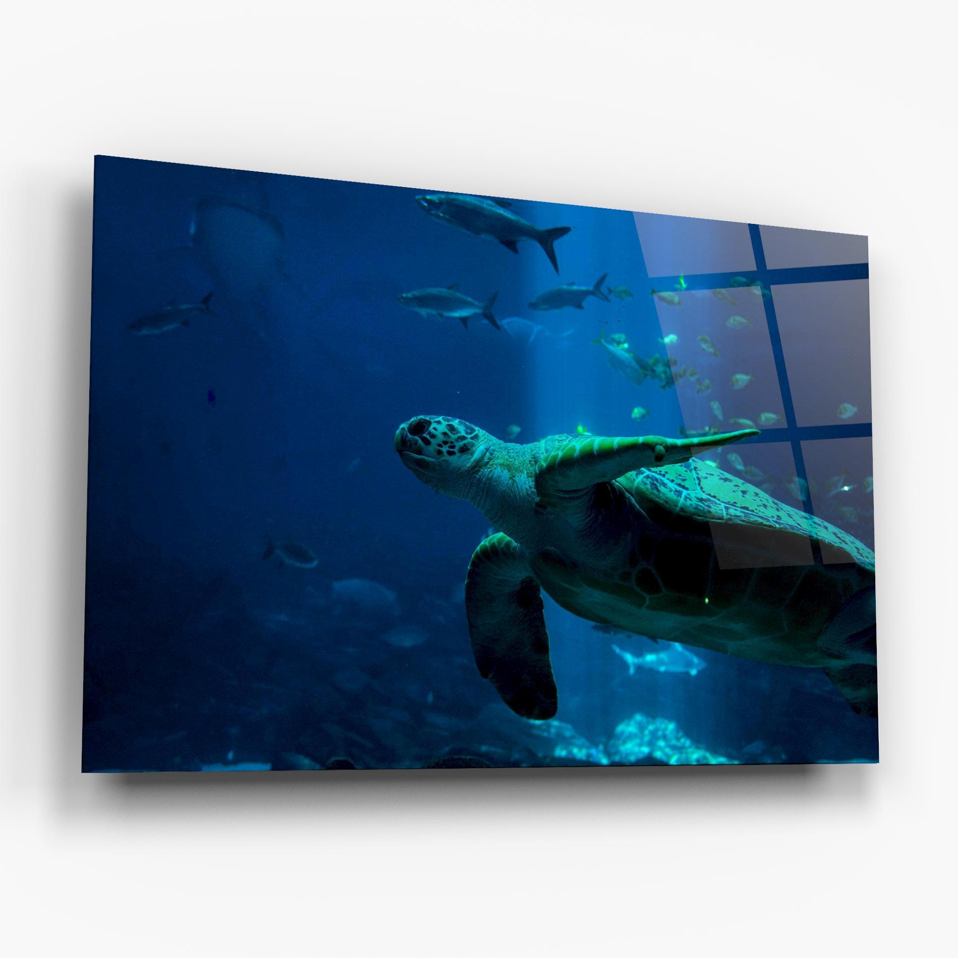 Glasbild Green Turtule mockup 6
