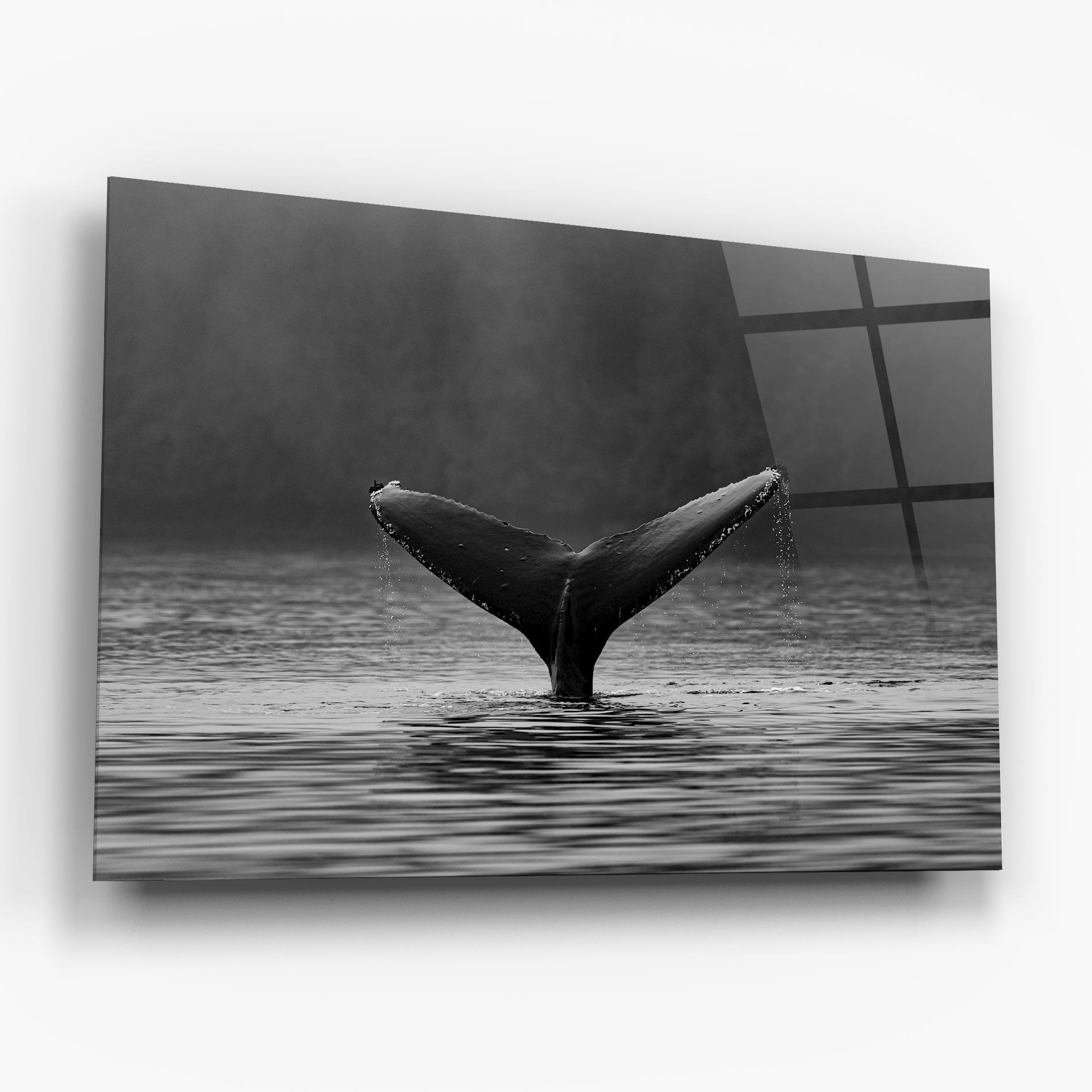 Glasbild Grey Tail mockup 6